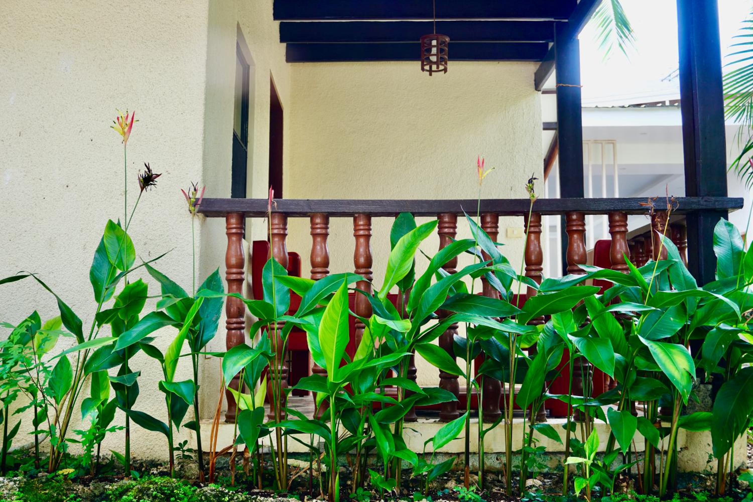 Nature Haven Villa - Flower Garden