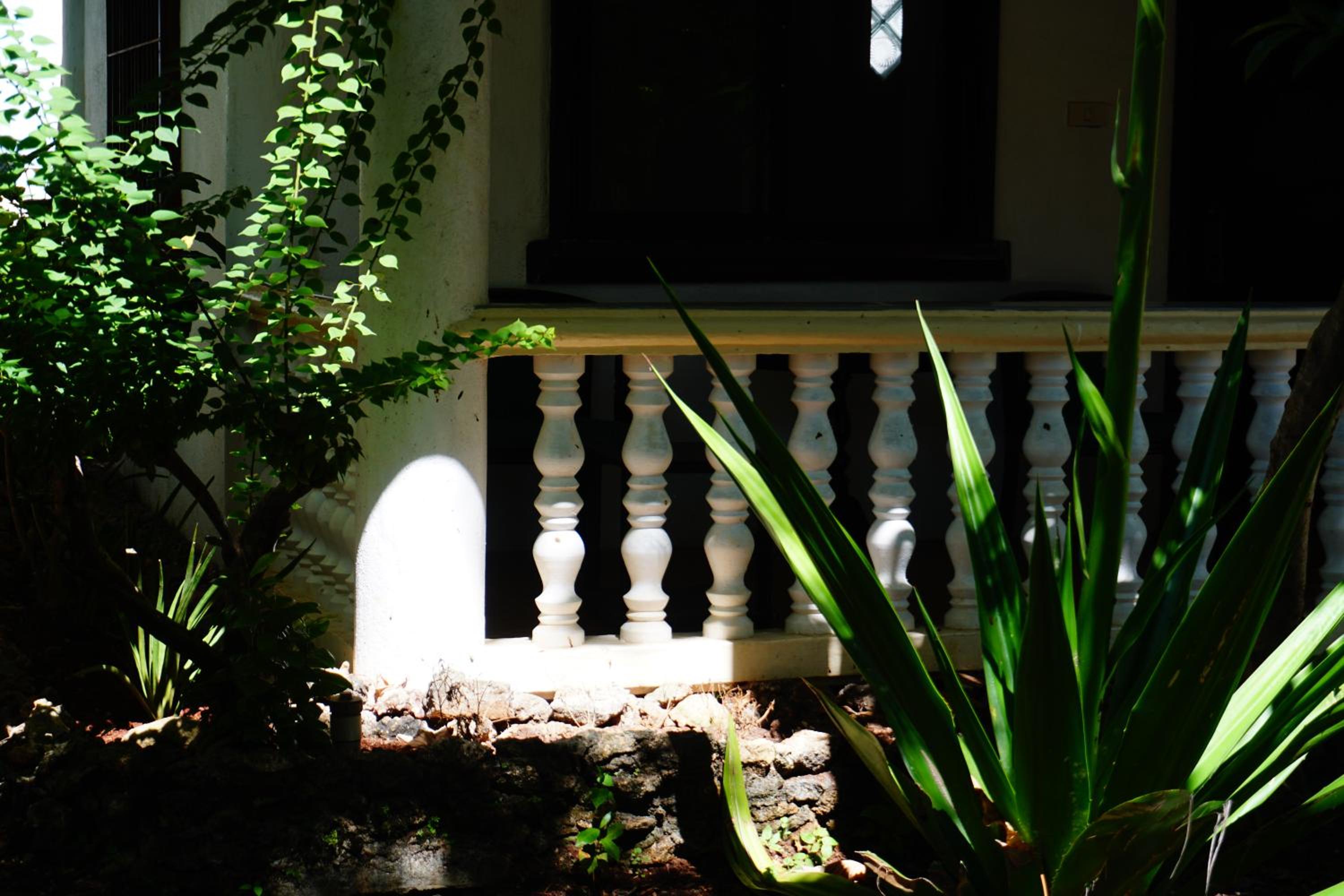 Nature Haven Villa - Flower Garden