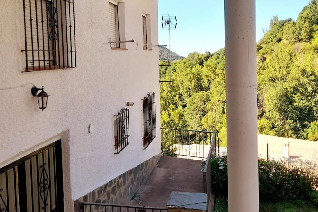 Casa Pereza