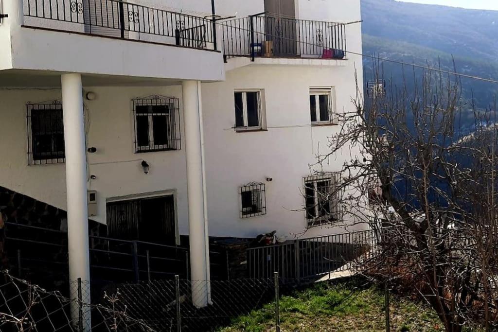 Casa Pereza