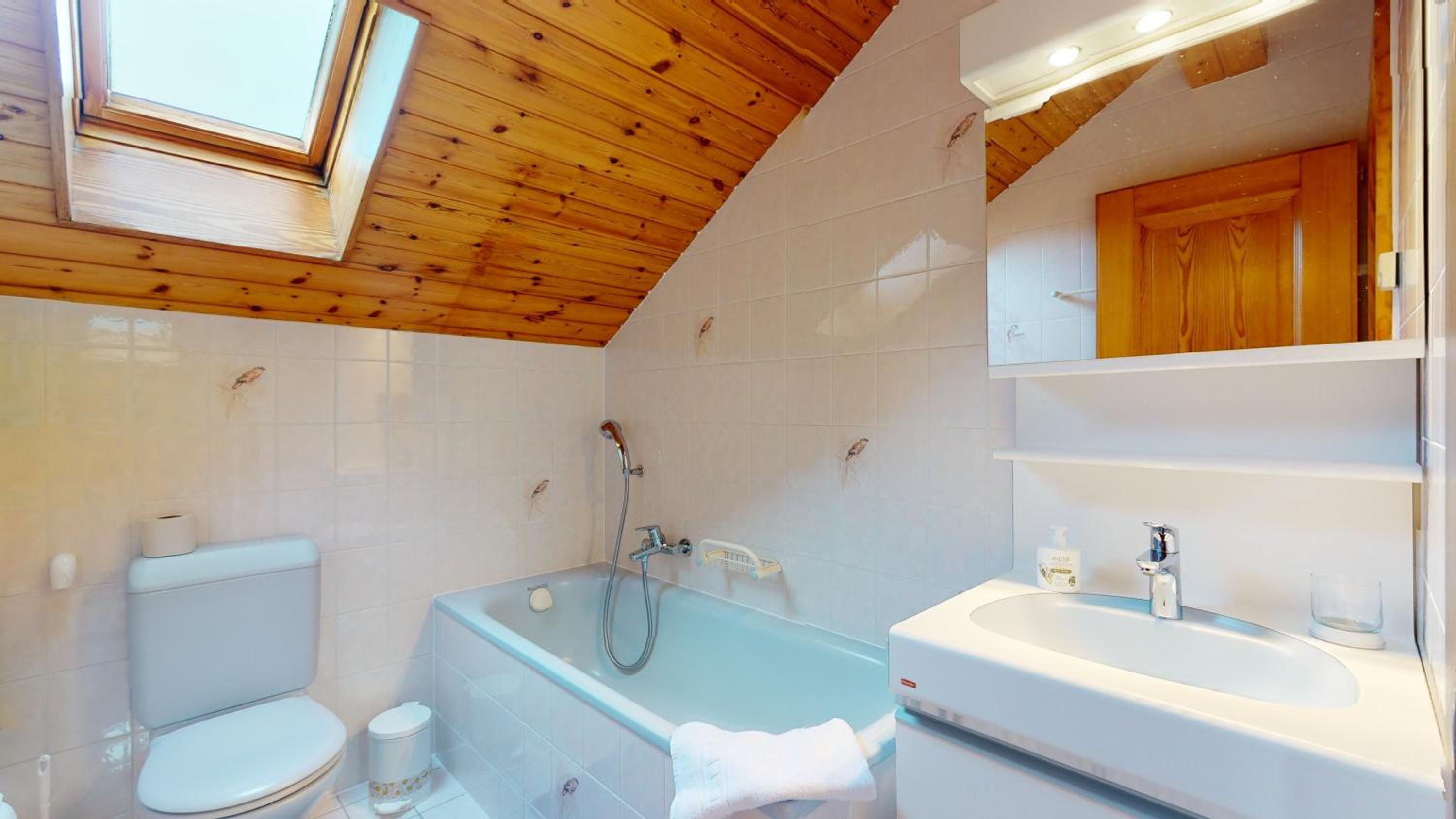 Superb family apartment in centre of the village of Vercorin