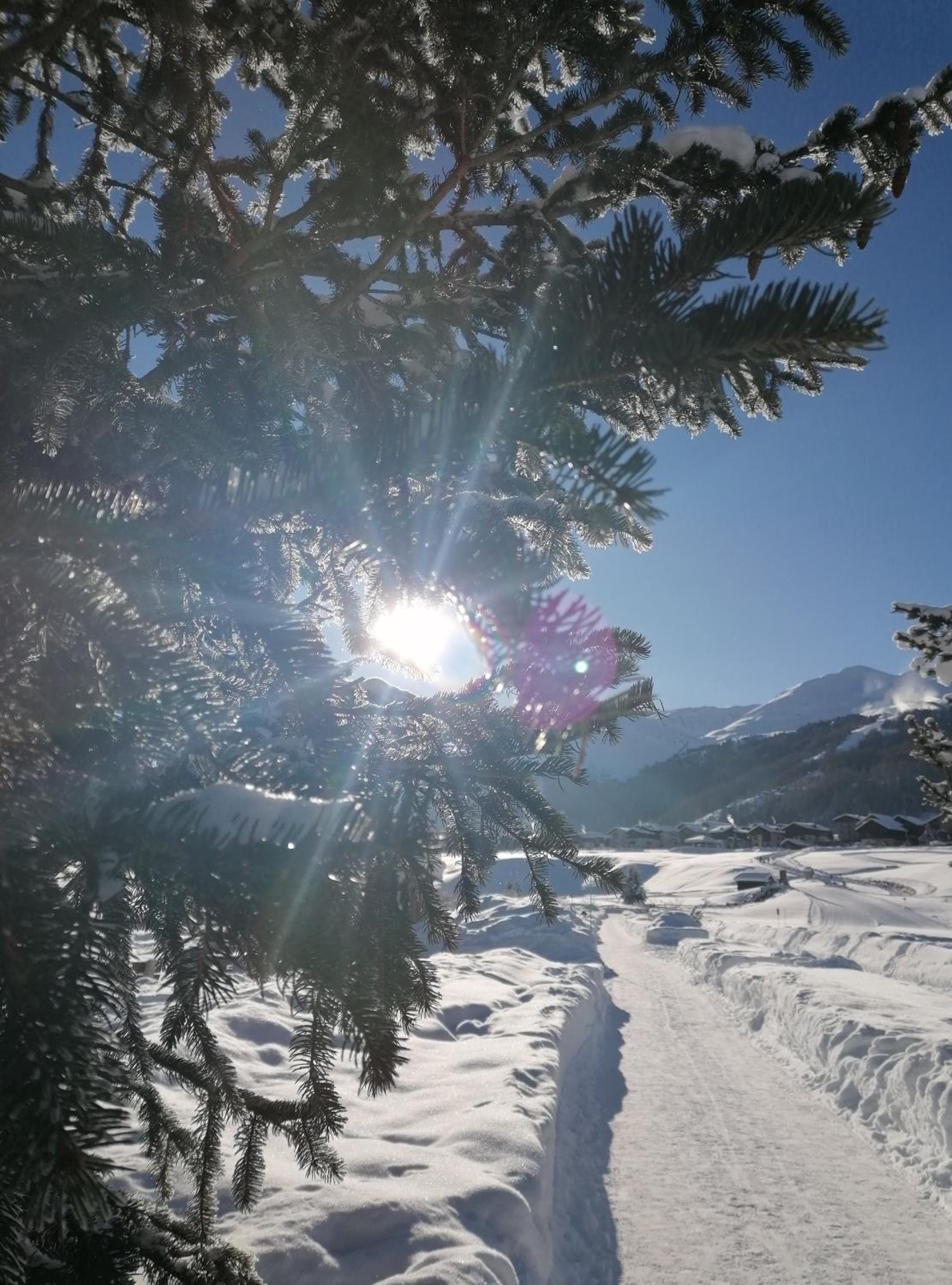 Livigno Appartamento La Tesciadra