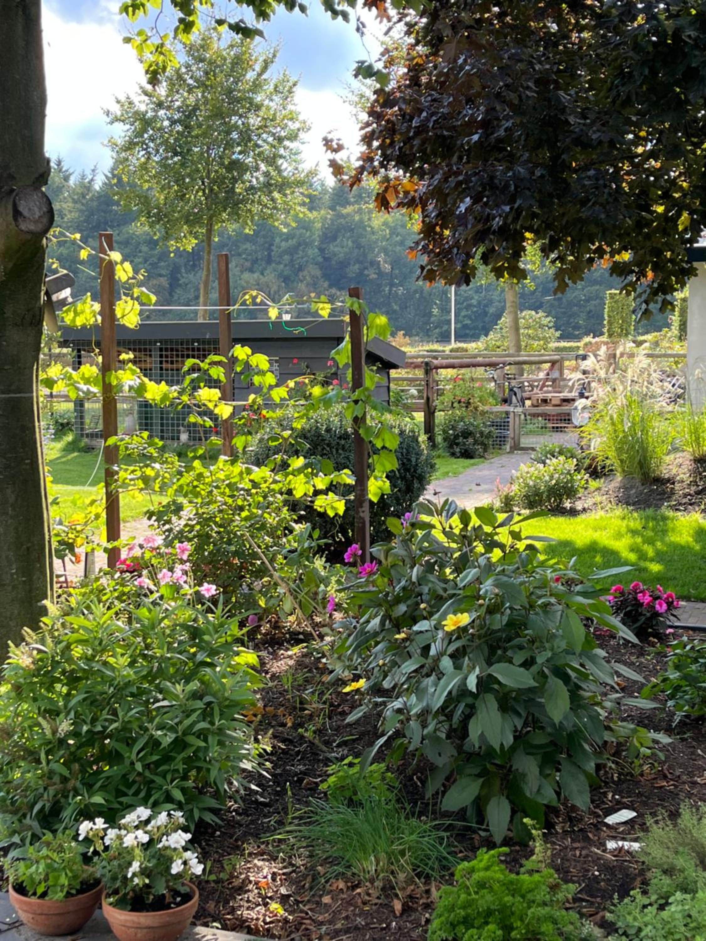 B&B 't Speulderbos