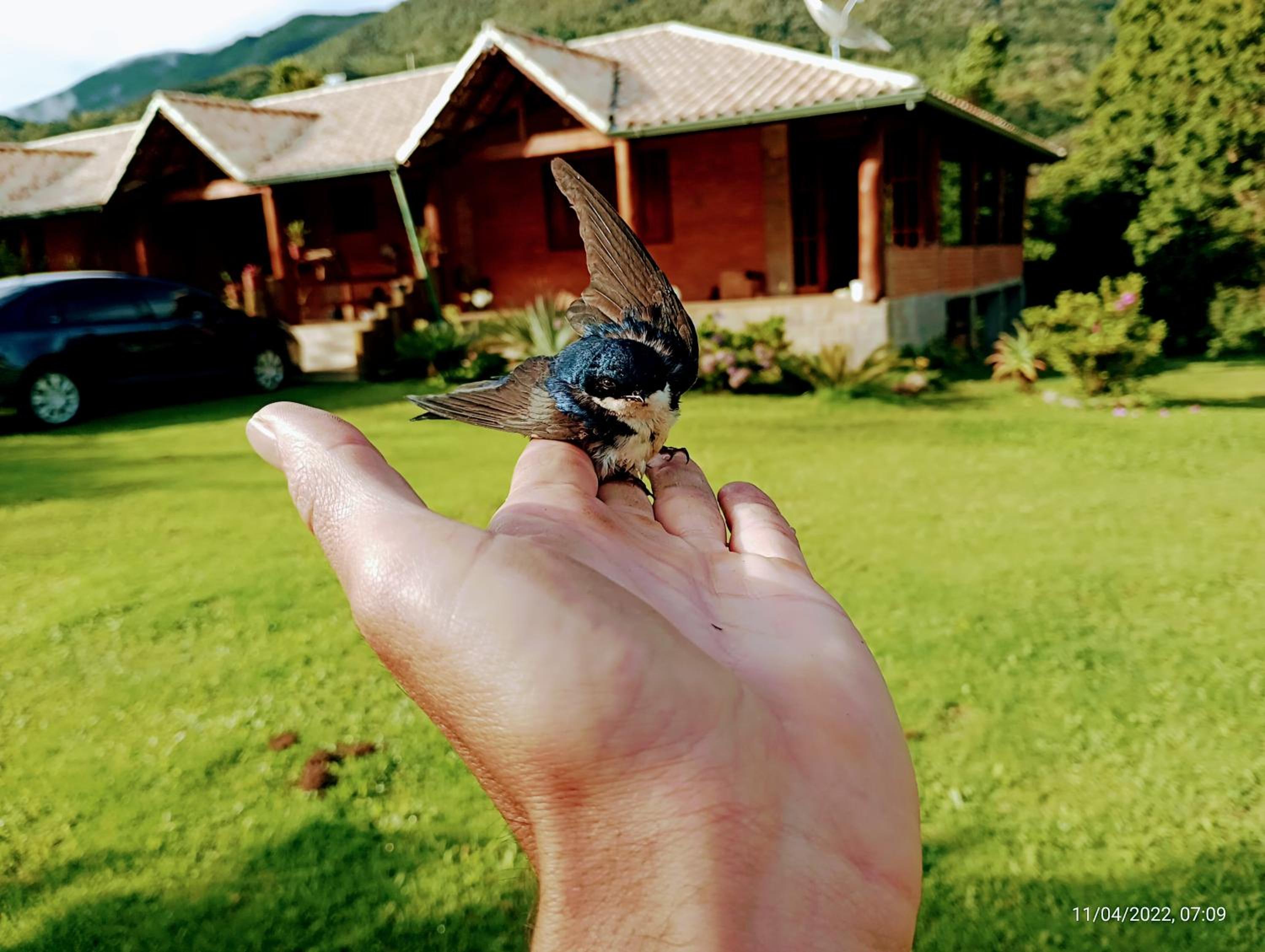 Refúgio Mantiqueira - Parte Alta Parque Nacional Itatiaia