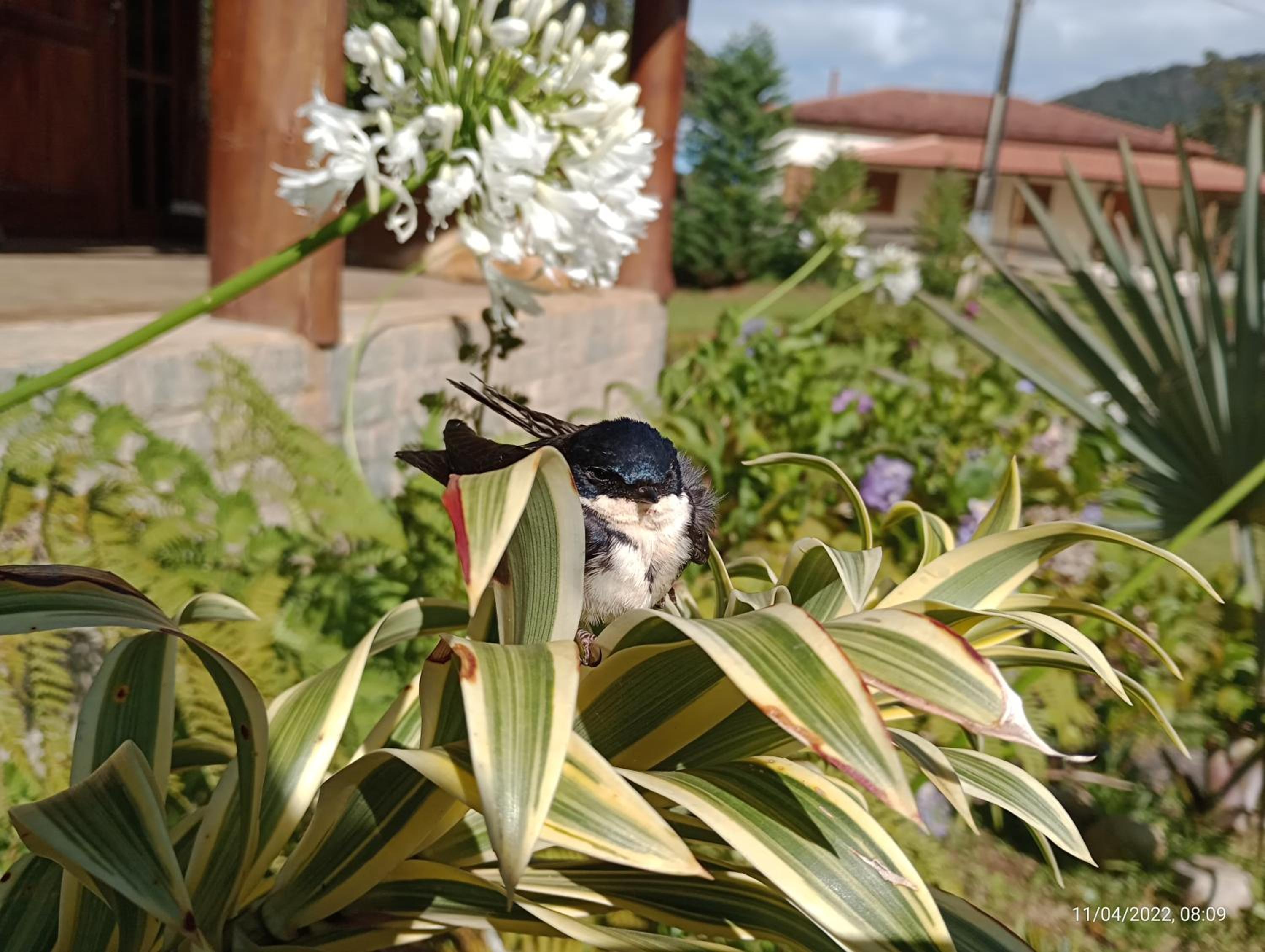 Refúgio Mantiqueira - Parte Alta Parque Nacional Itatiaia