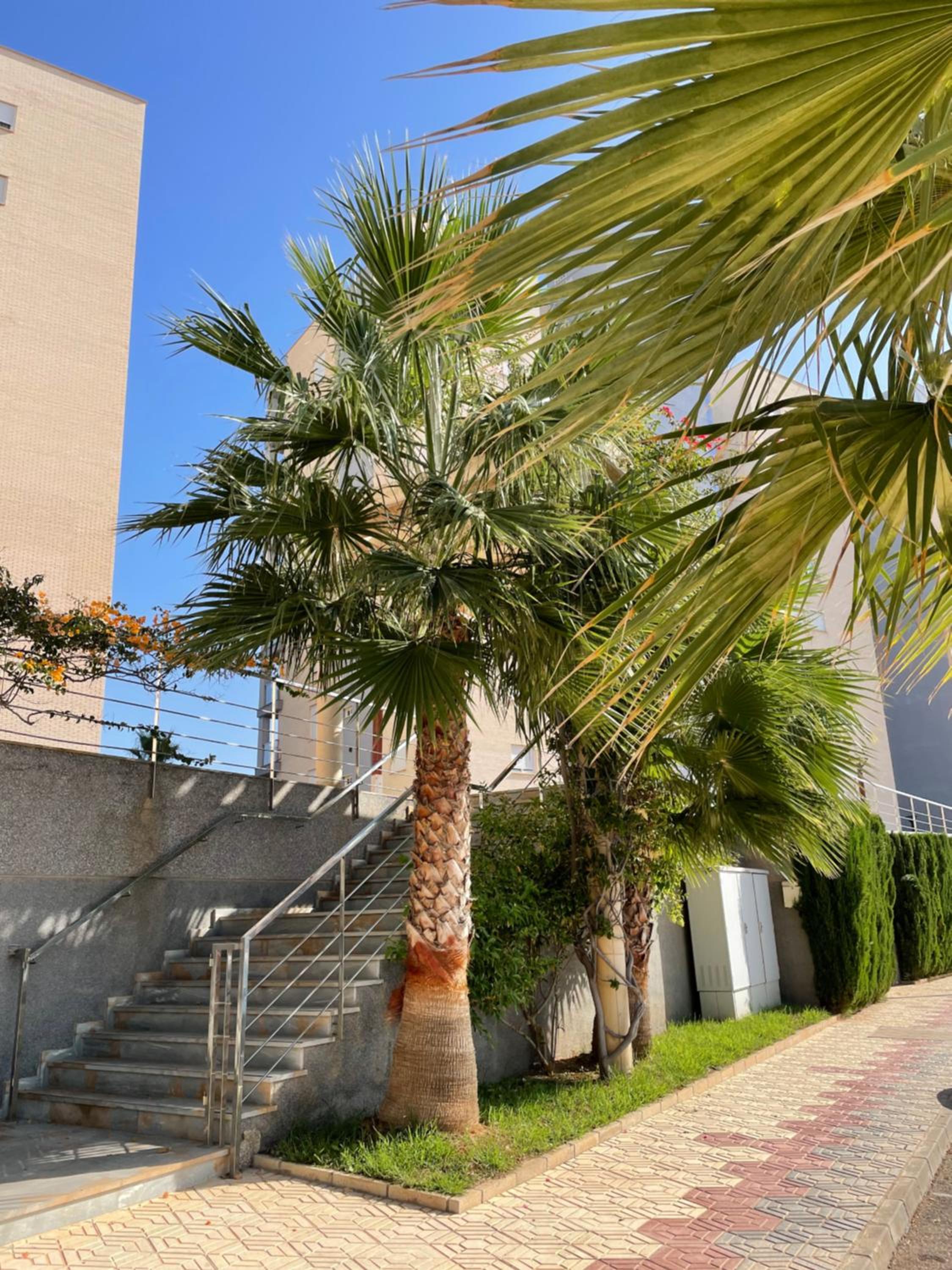 Seafront La Manga Apartment