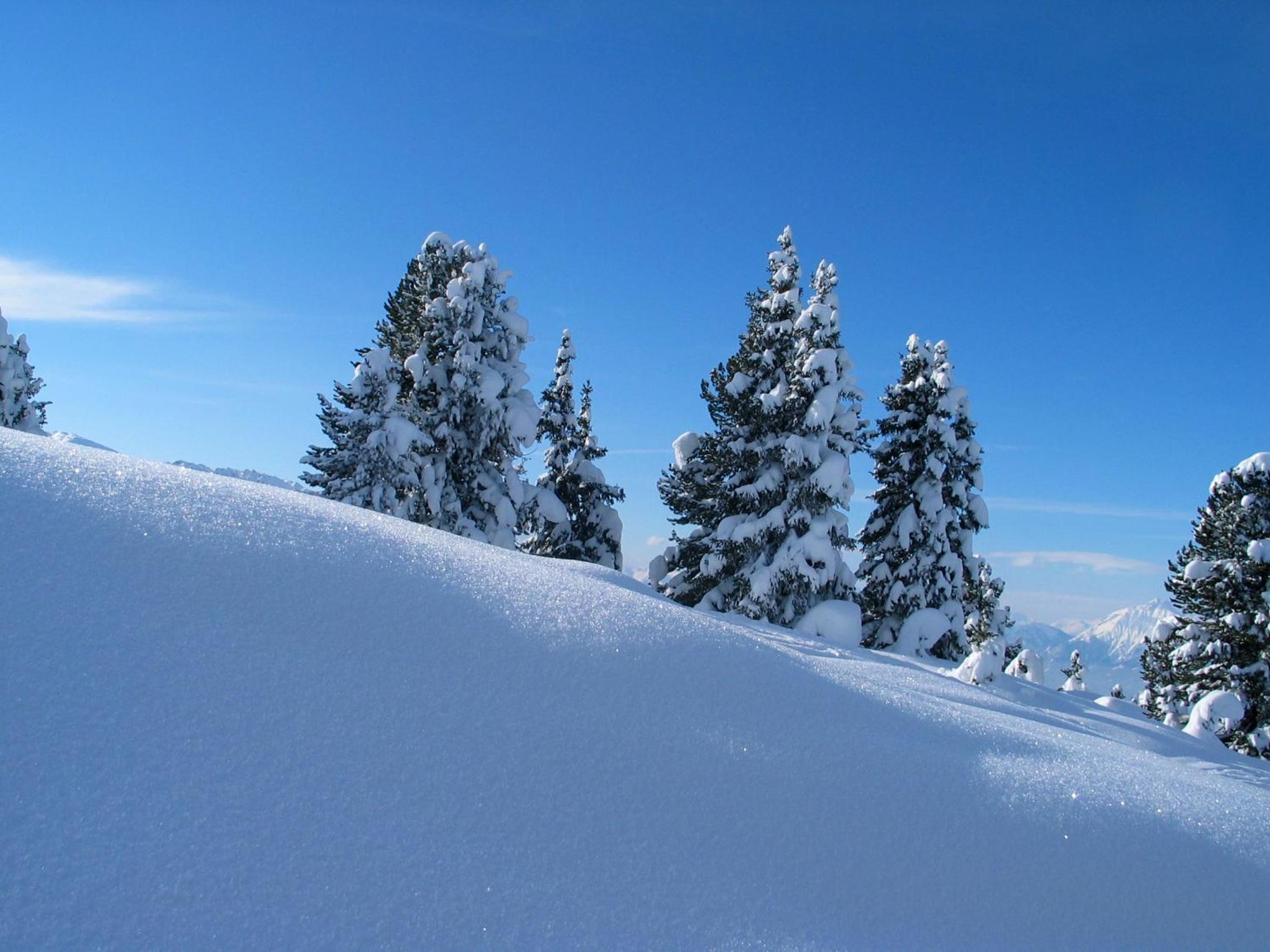 Waldhütte