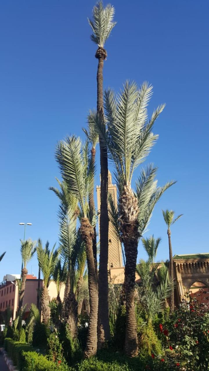 Photo 19