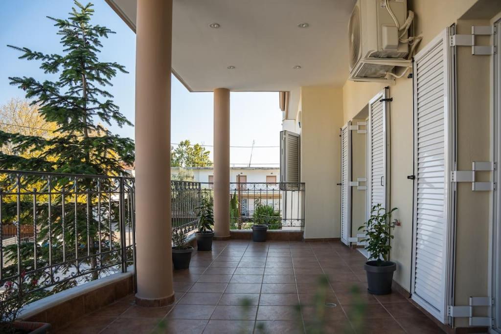 Alexandros Suite