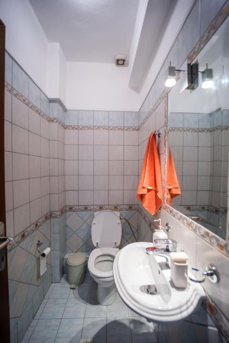 Alexandros Suite