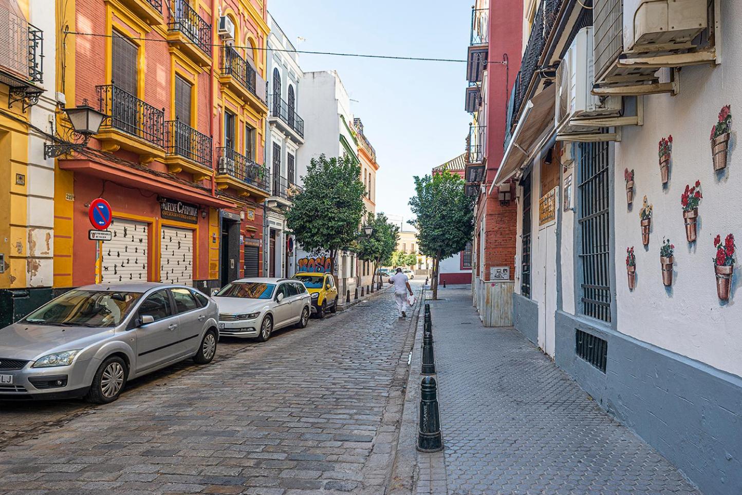 Alohamundi Feria