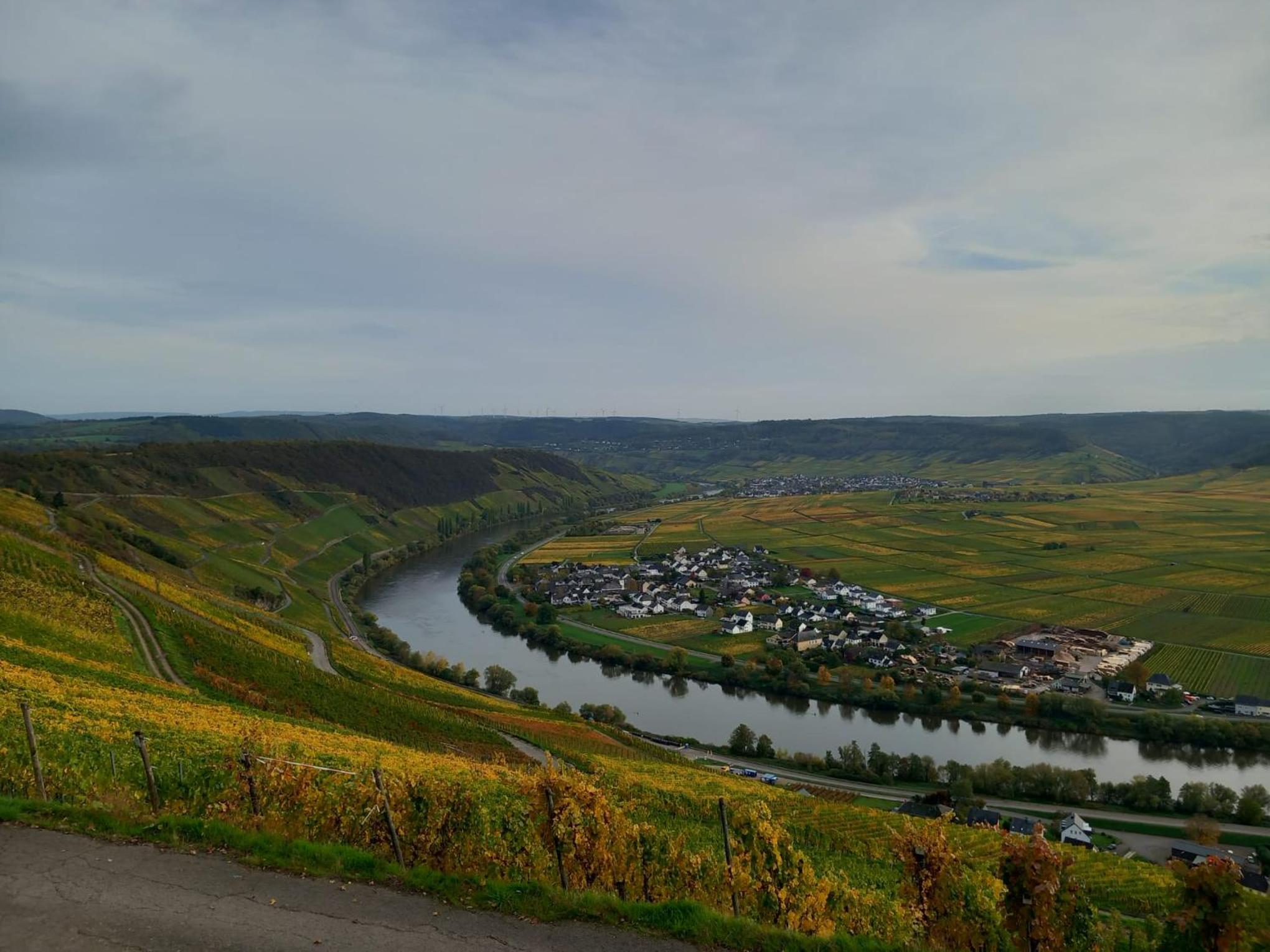 Mosel-Auszeit