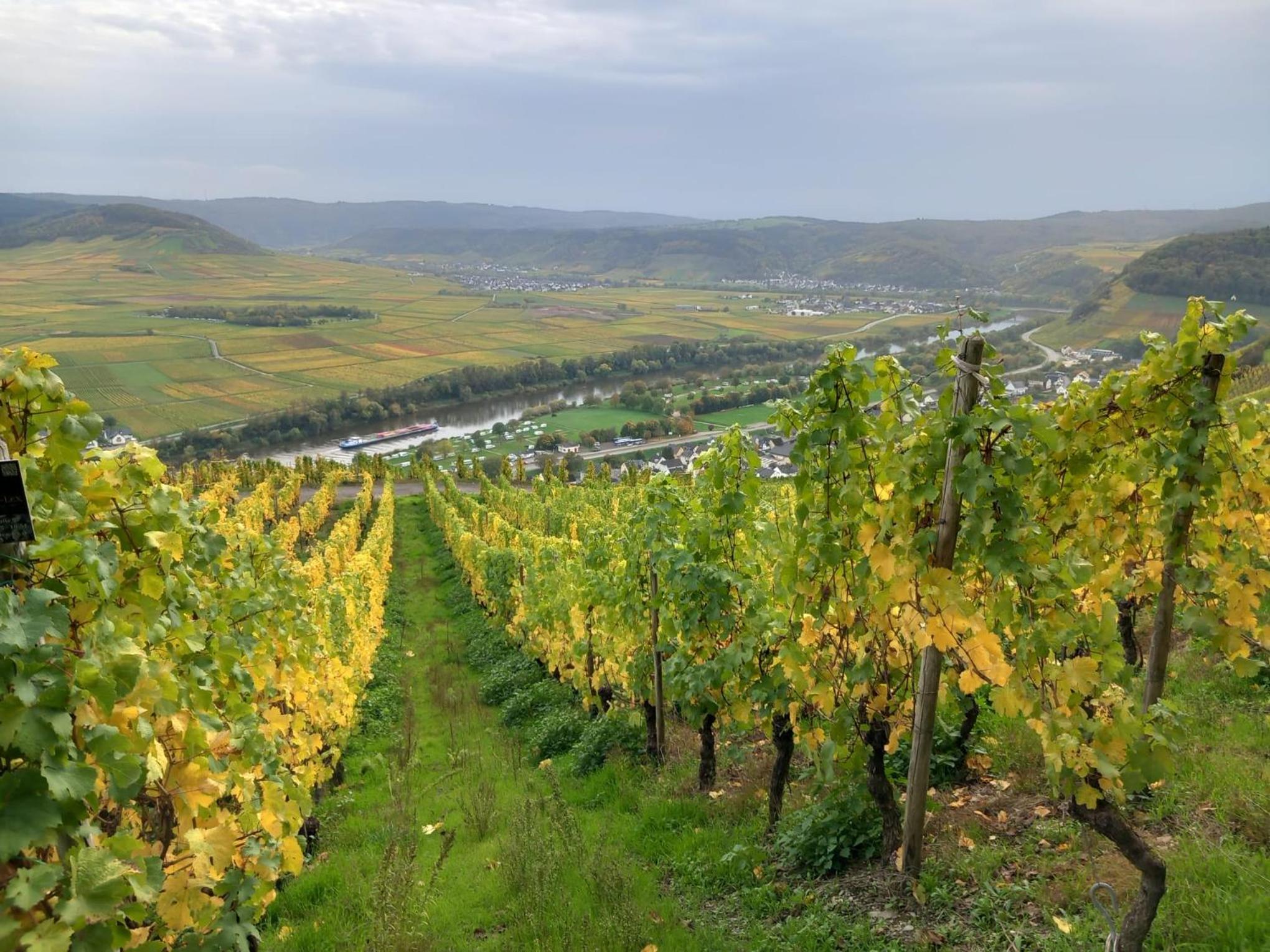 Mosel-Auszeit