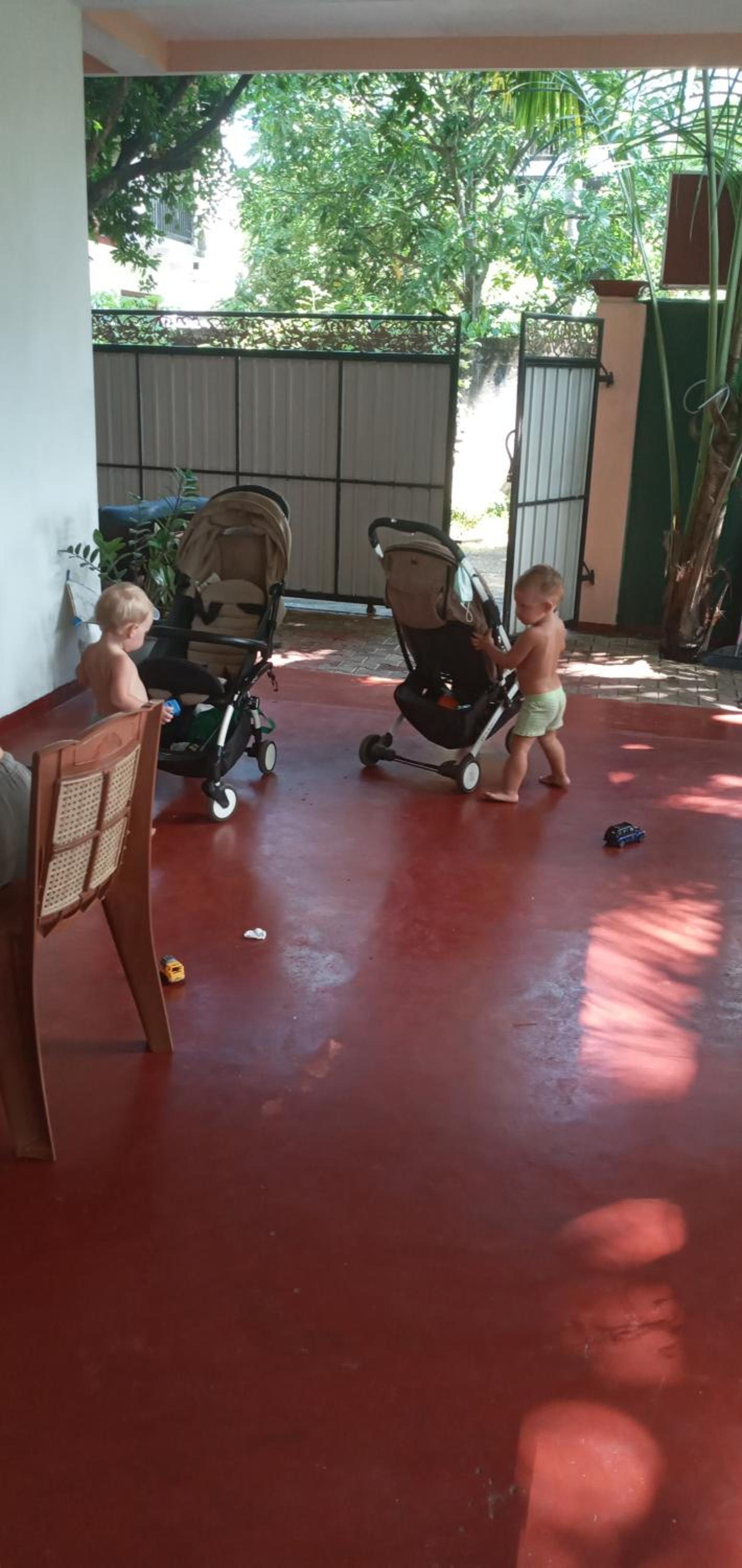 Photo 44