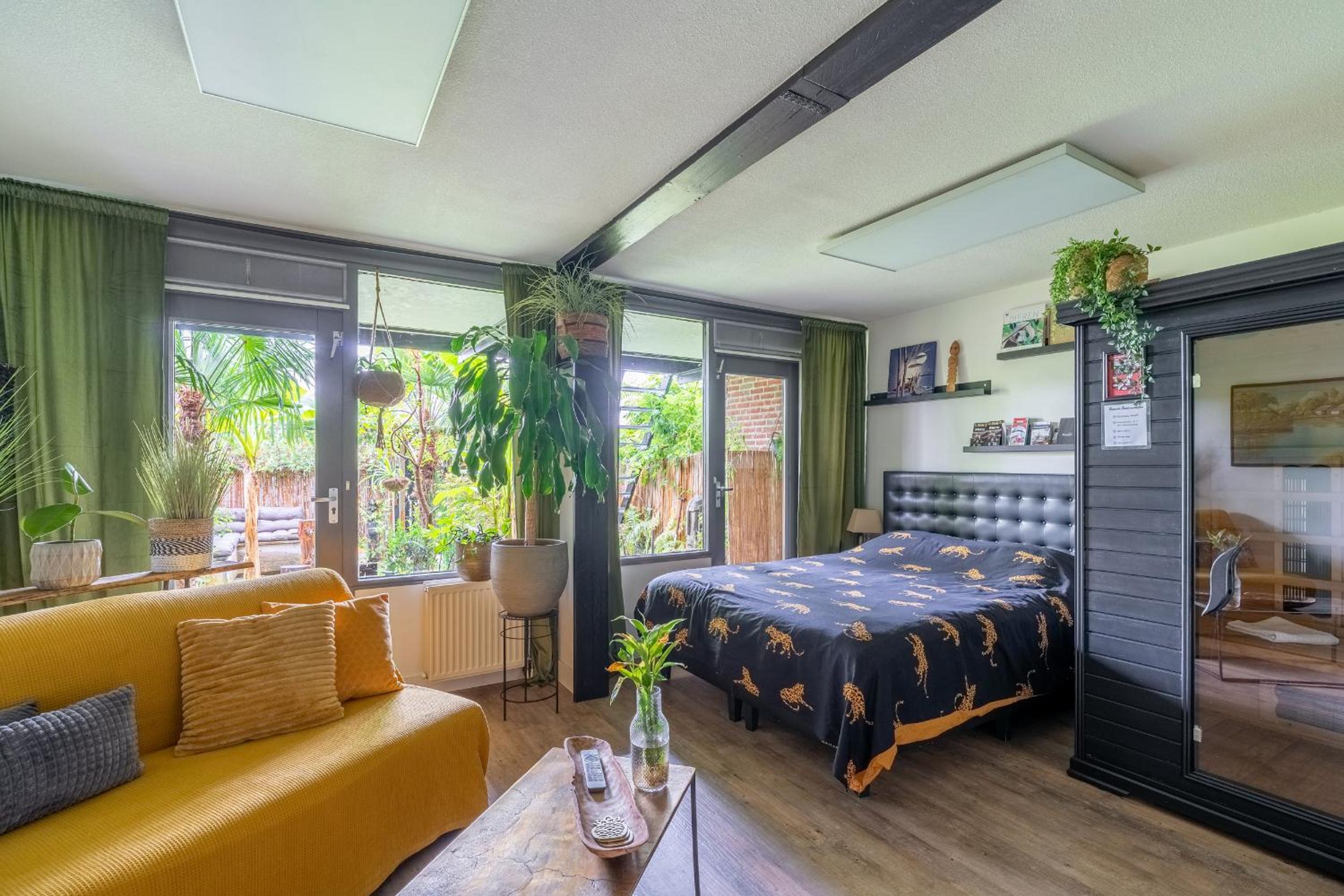 Jungle Stay in a Hidden Paradise view 4