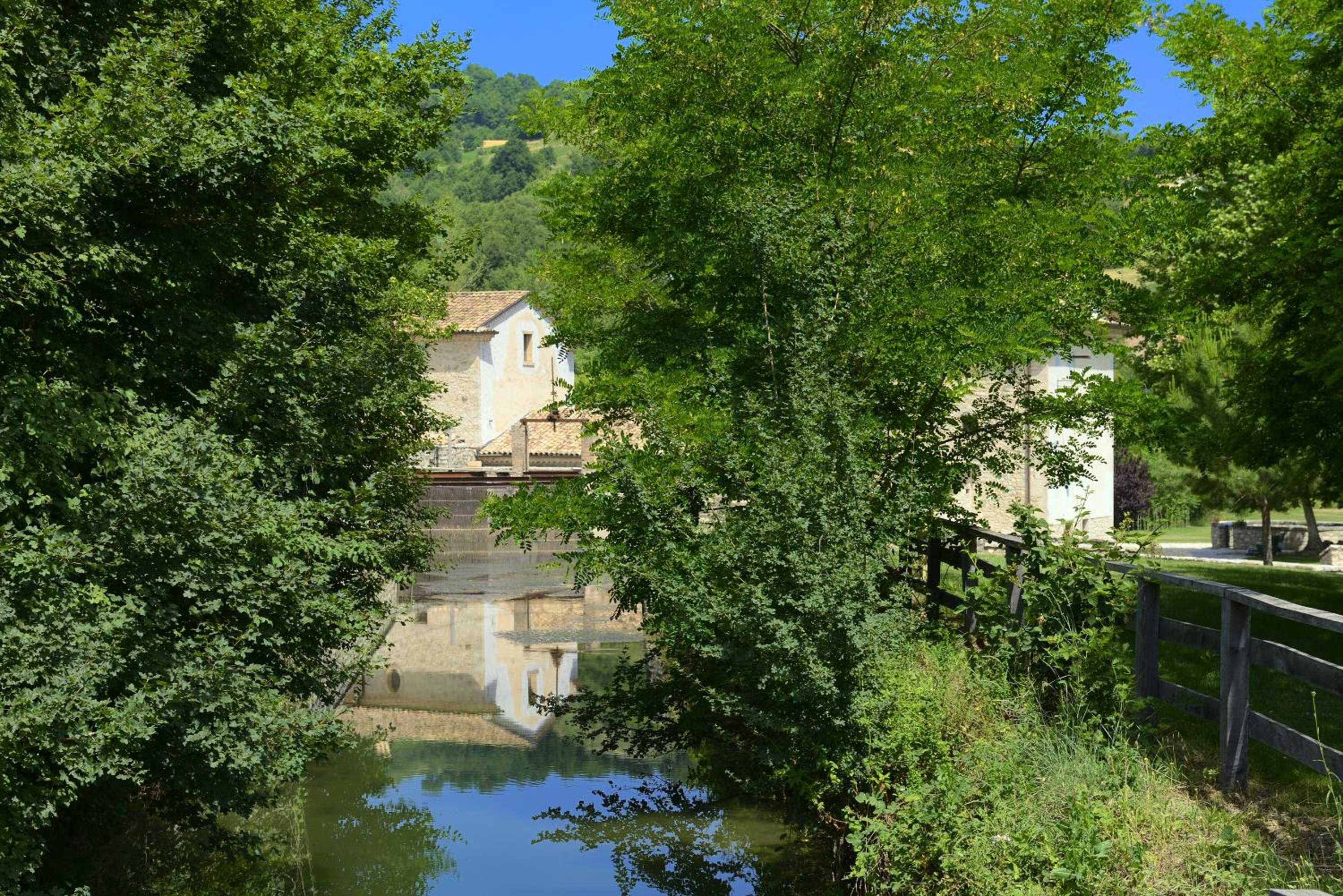 Photo 43