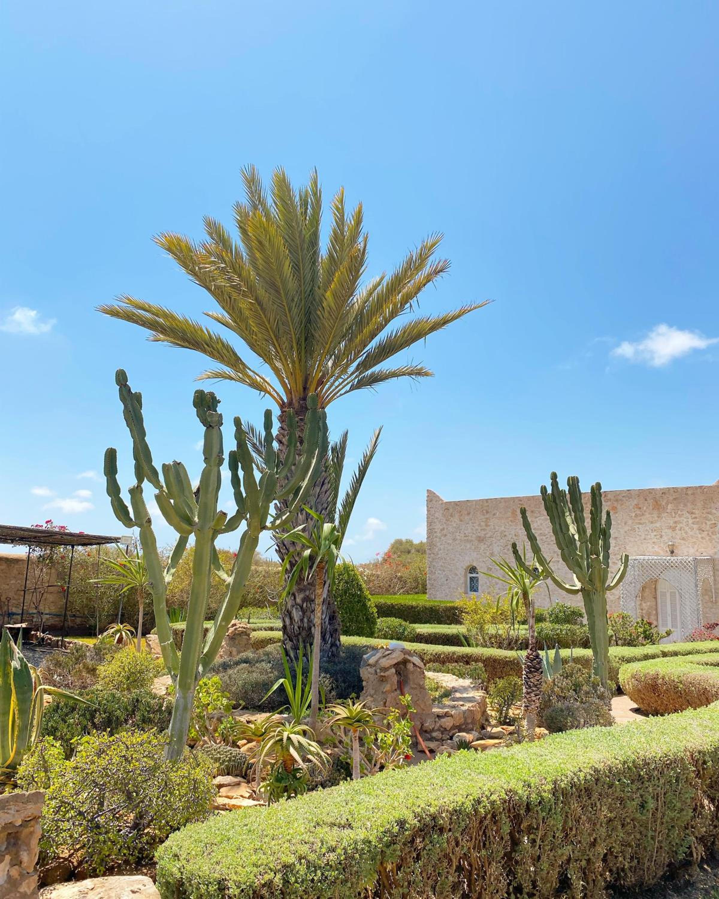 Maison Mimosa, lovely 3 bedroom villa with a Large pool view 2