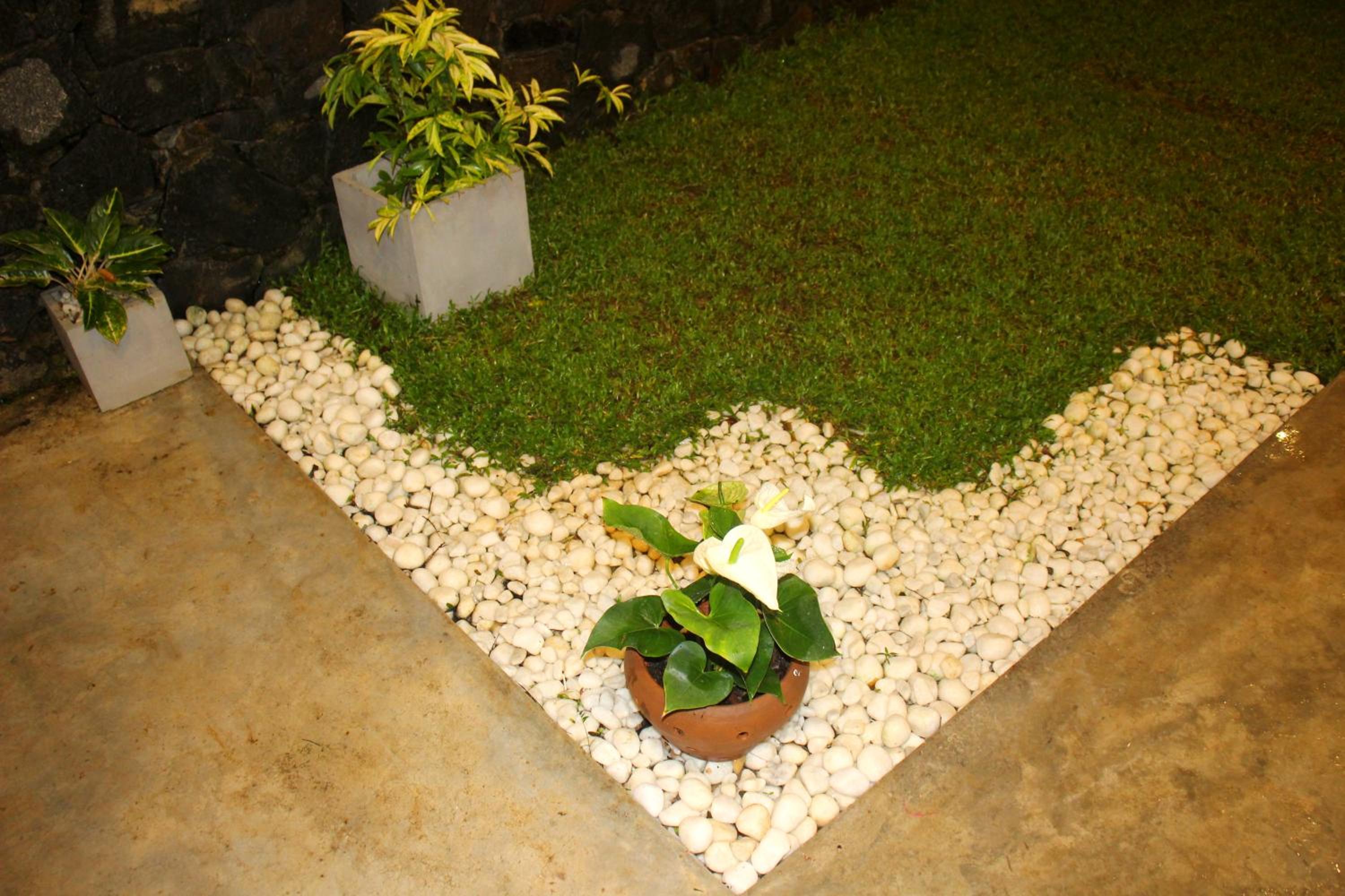Photo 49