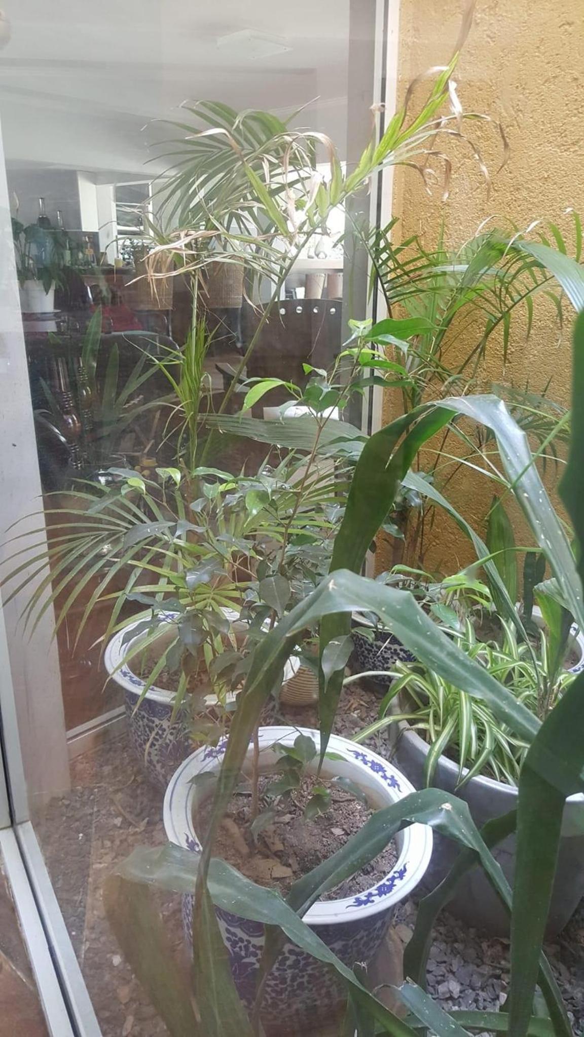 CASA 6 A Malibú 3km del Aeropuerto Podes dejar tu auto