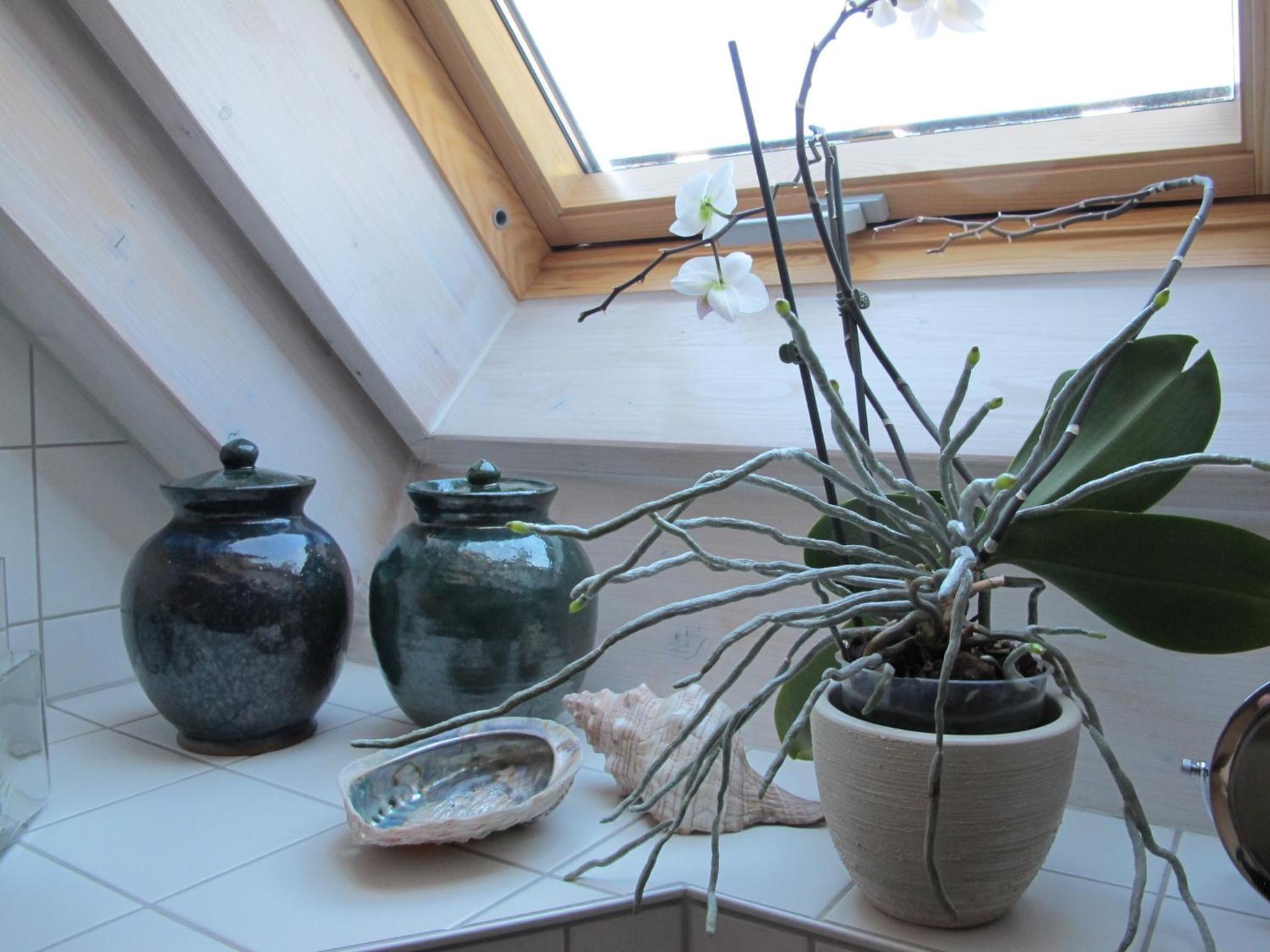 Ferienwohnung Spessart - a13250 - Property Image 18
