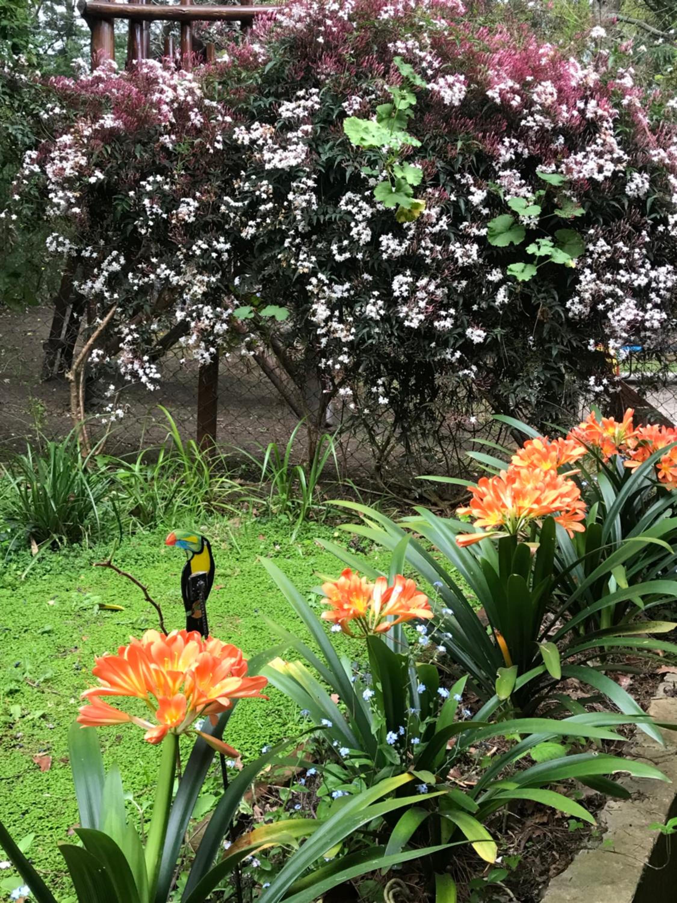 EL PARAISO DEL DESCANSO