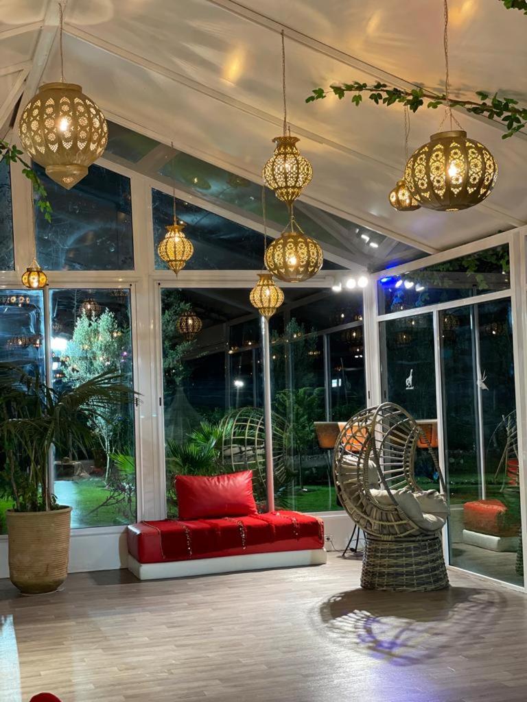 lounge