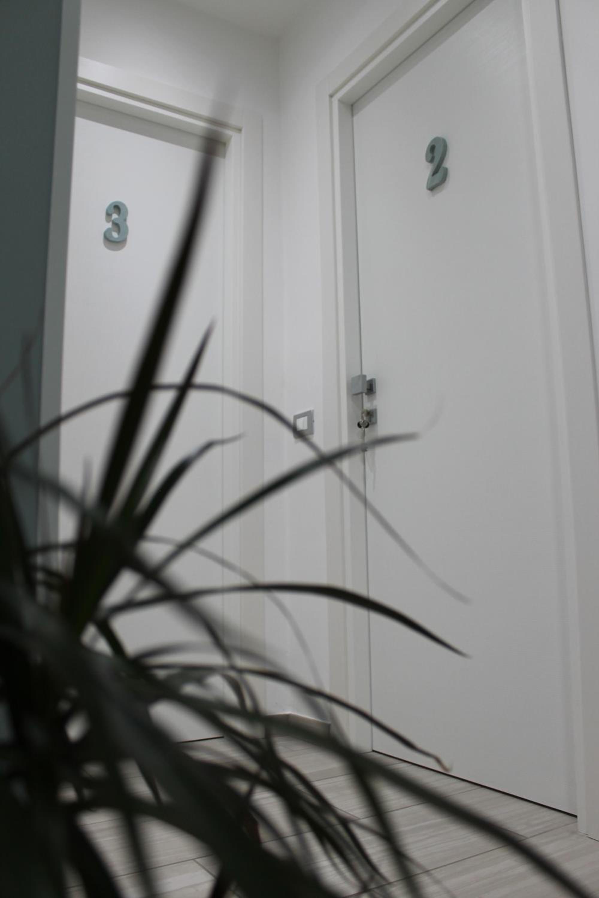 Photo 46