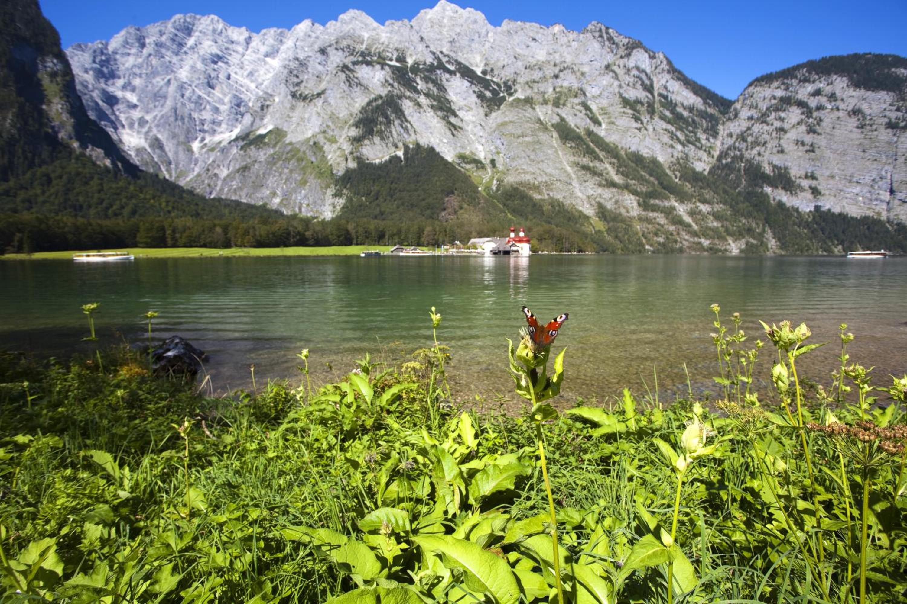 Ferienwohnungen Oberau