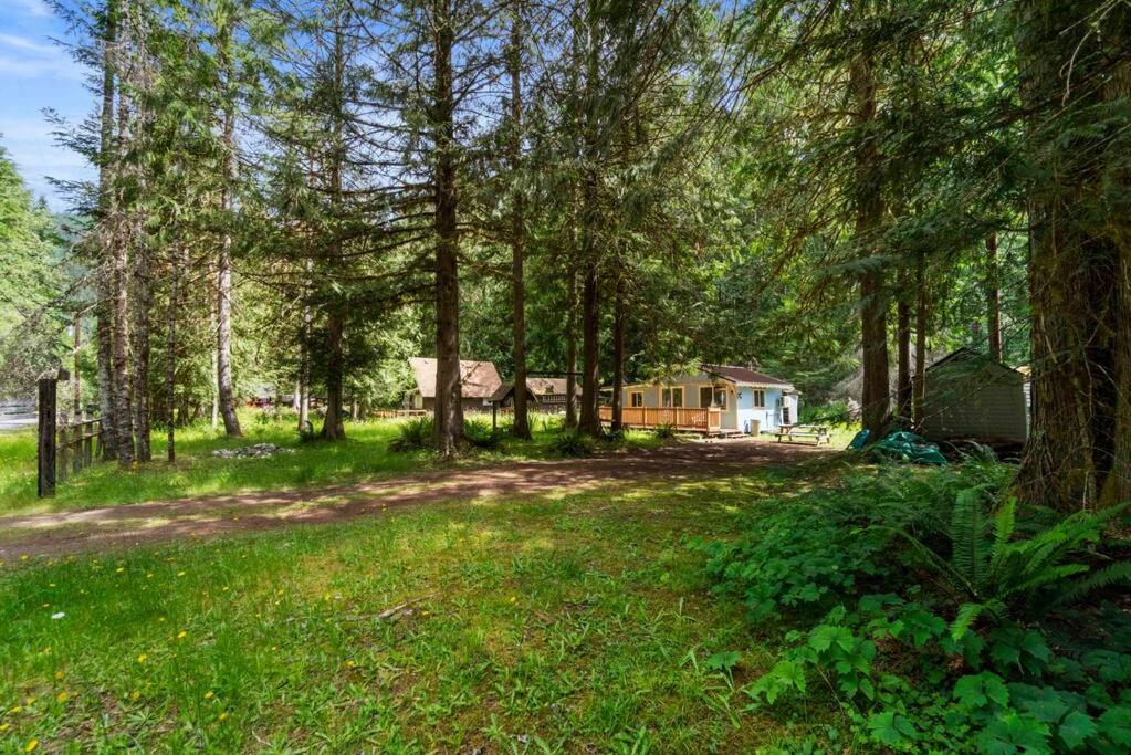 Cozy Cedar Cabin Steps Away From Mt. Rainier view 5