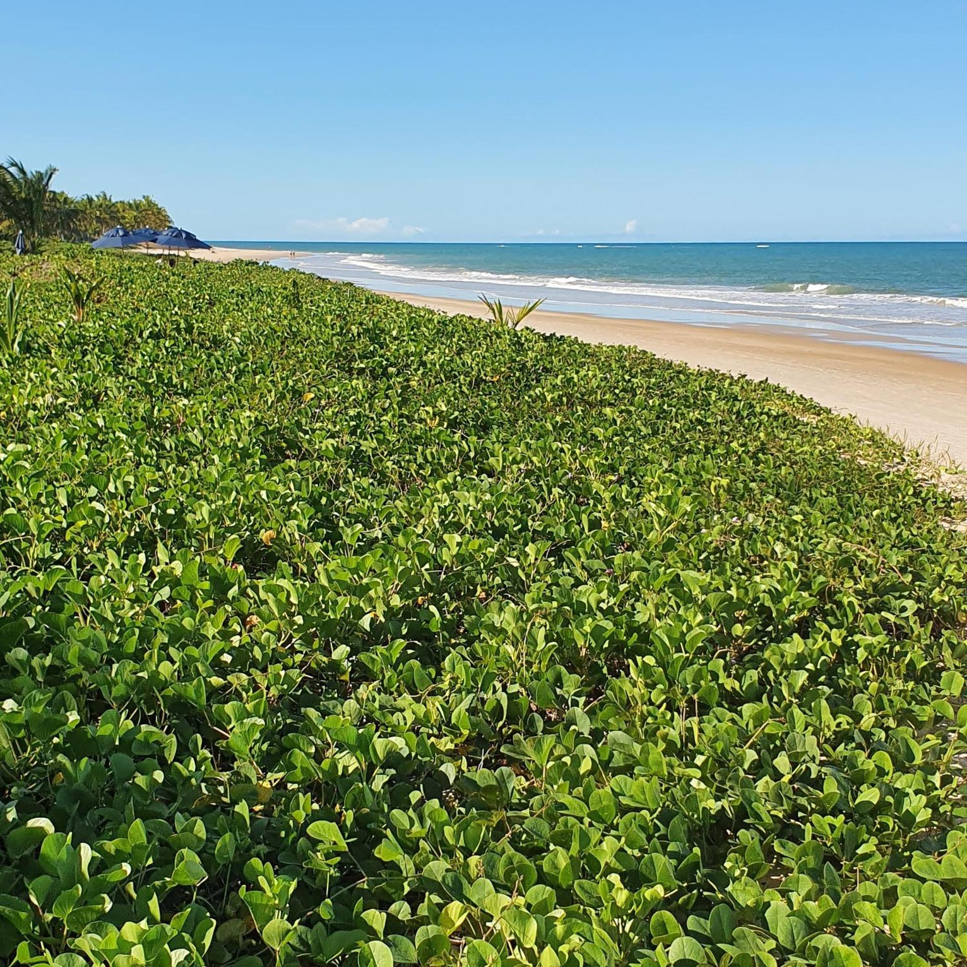 Trancoso Terravista Villa Floresta view 4