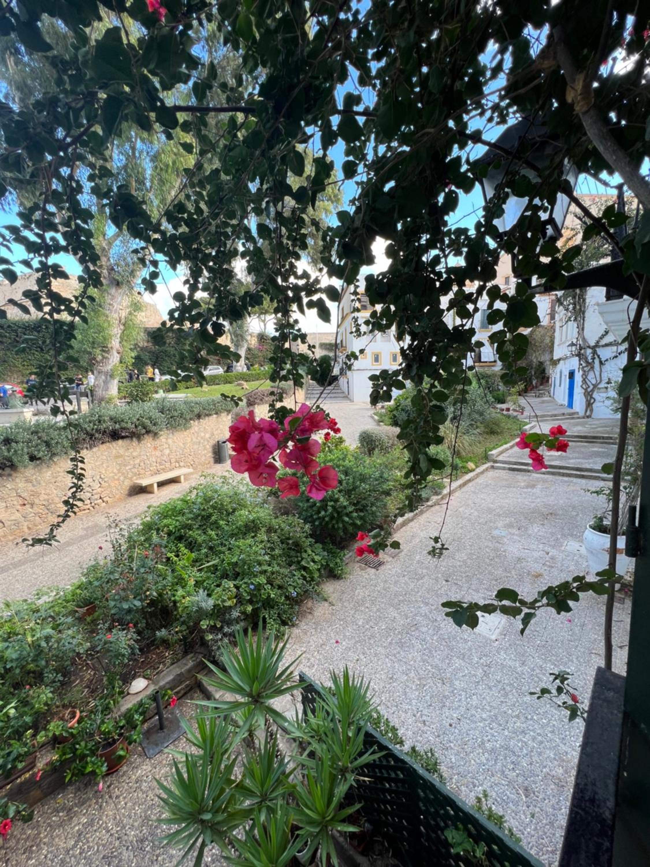 La Ventana