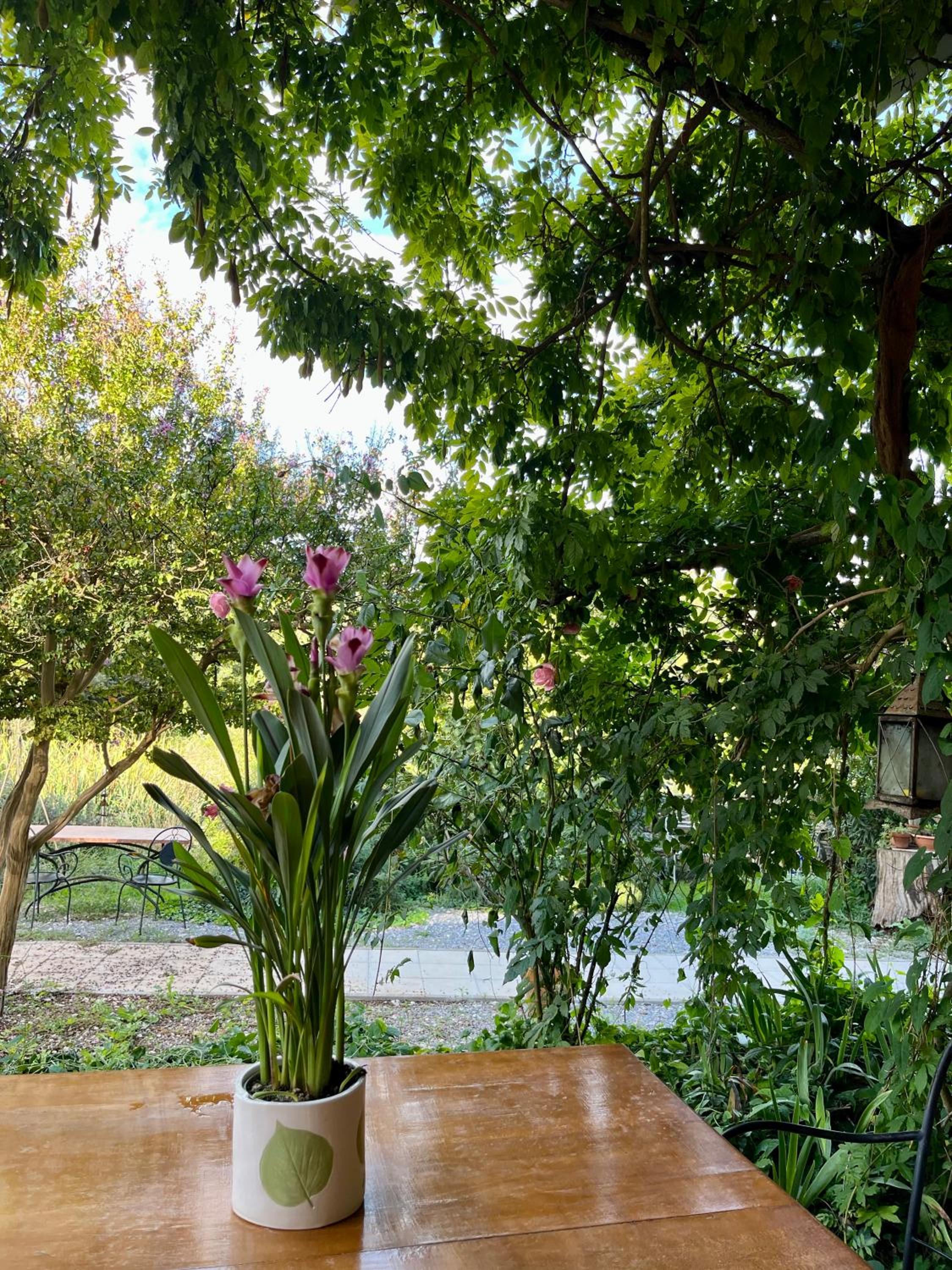 B&B La Fucinaia Pet Friendly view 5