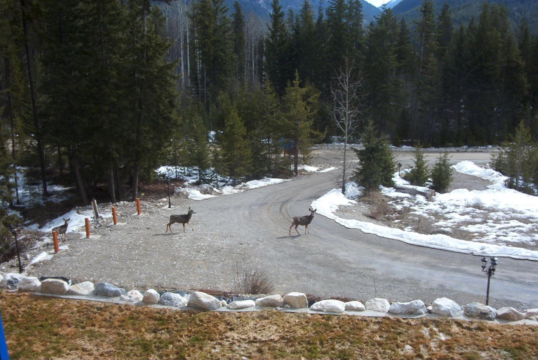 Glenogle Mountain Lodge and Spa - Image 4