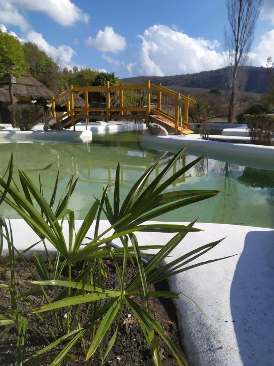 AGUA SABIA CABAÑA