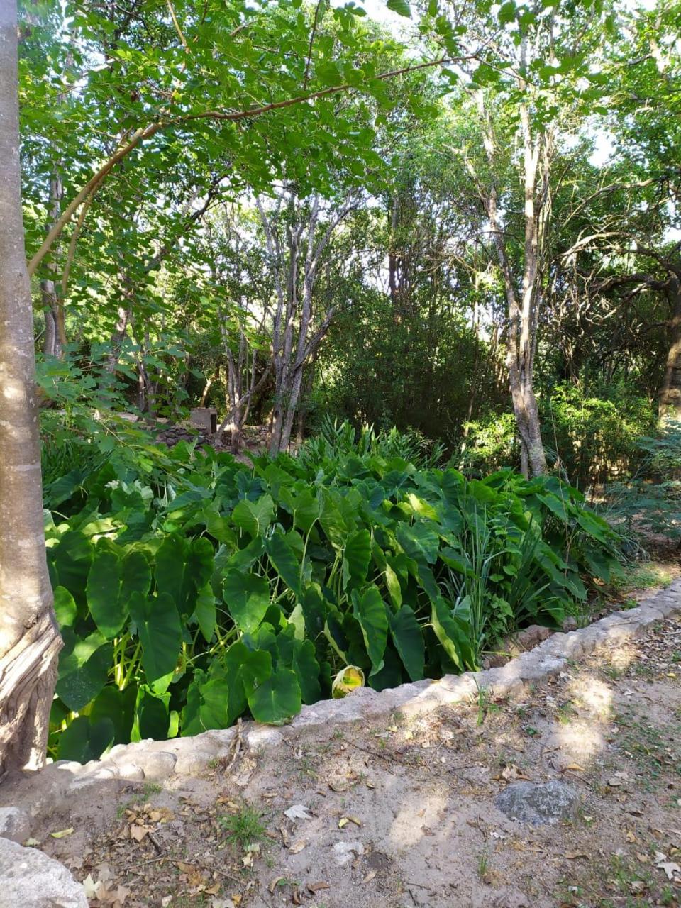 AGUA SABIA CABAÑA