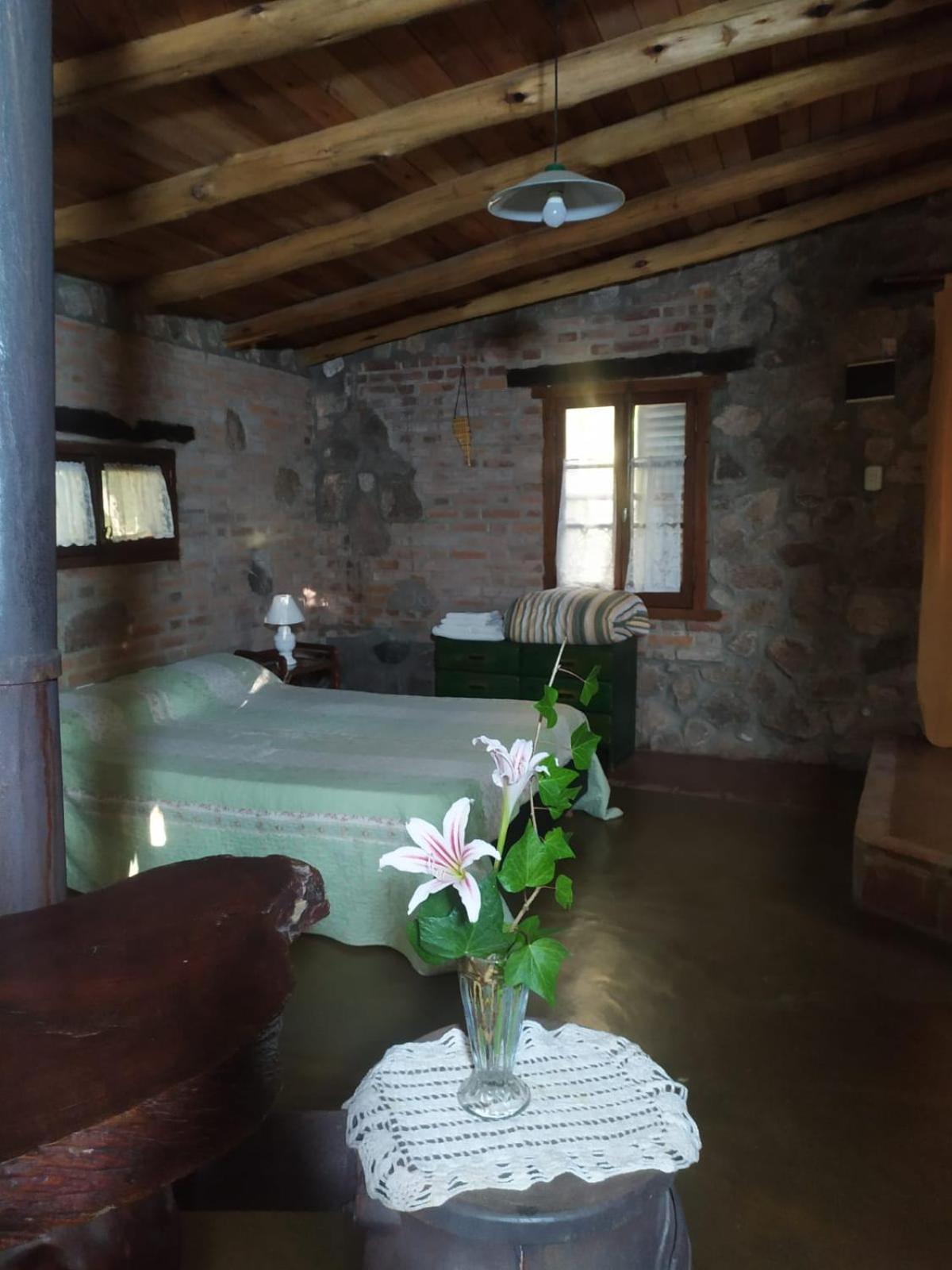 AGUA SABIA CABAÑA