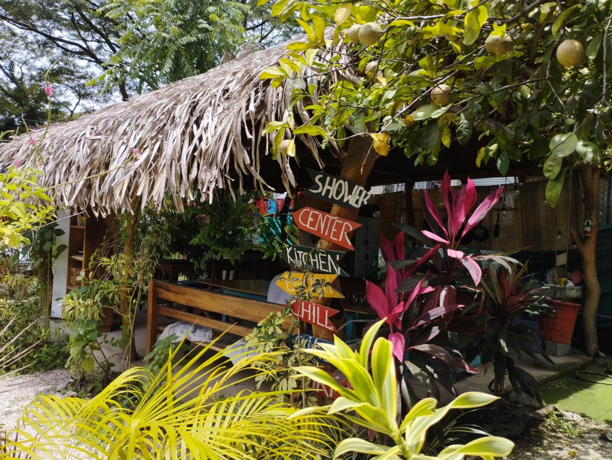 Woodstock Hostel view 5