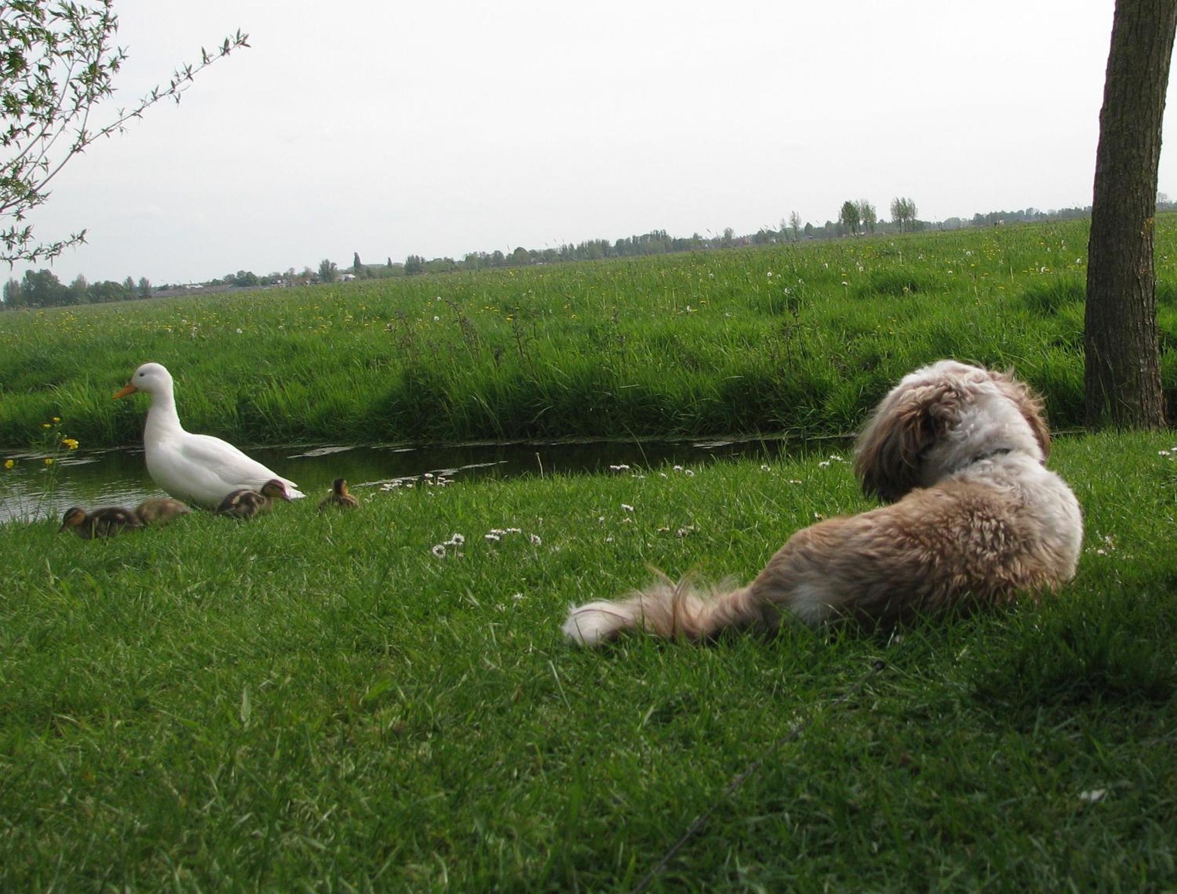 Photo 38