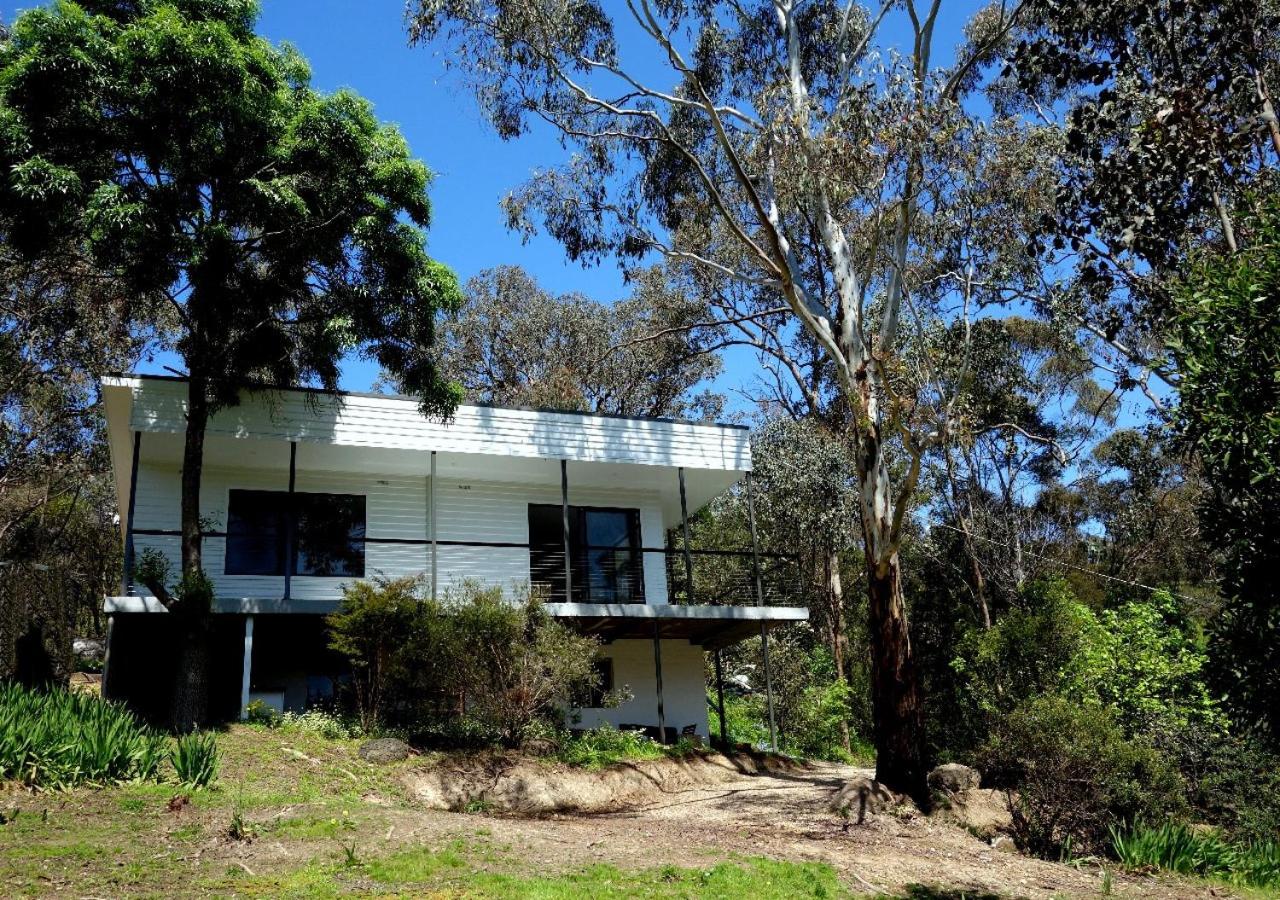 Peaceful bush retreat in newly renovated lodge in St Andrews