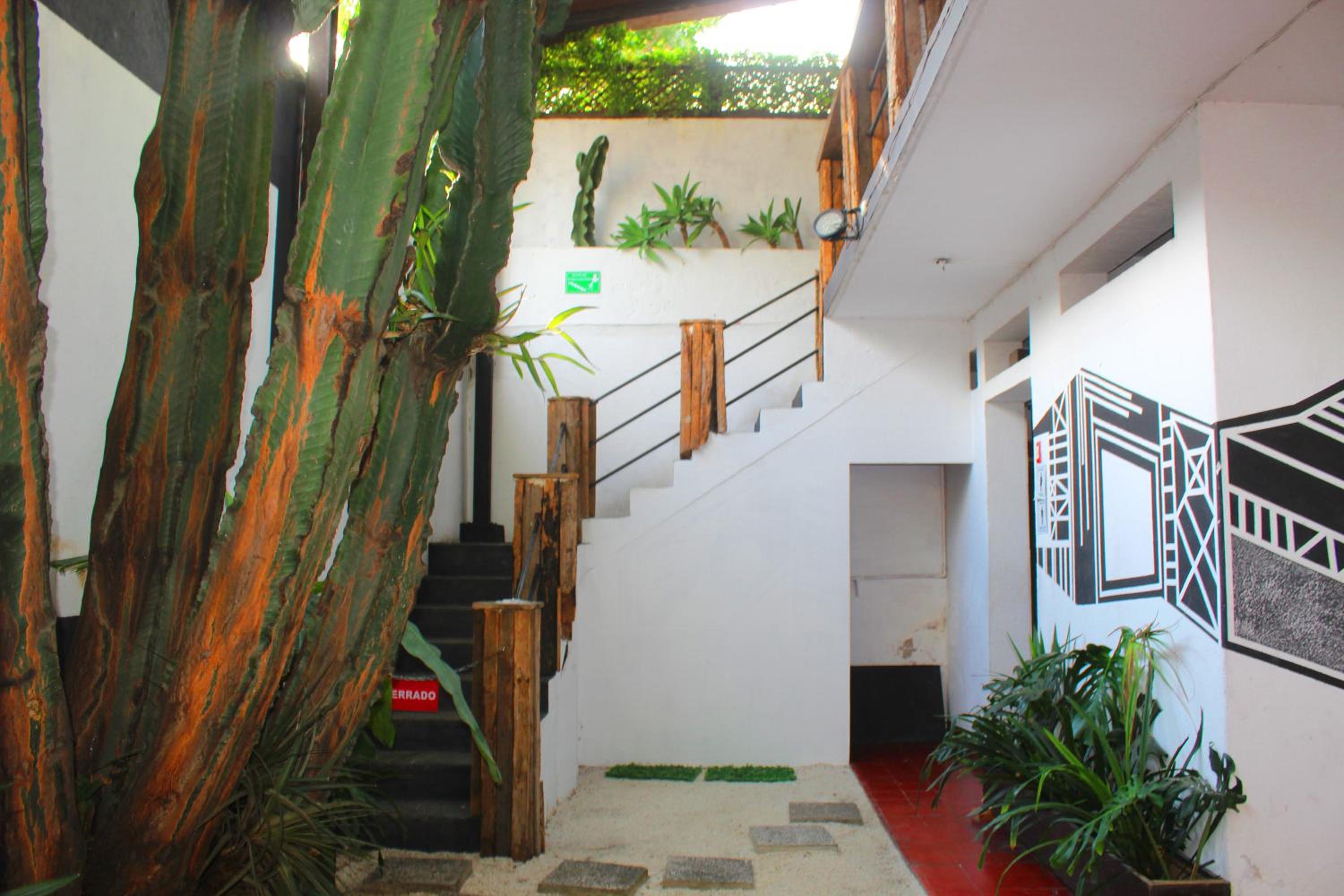 Volko Party Hostel view 4