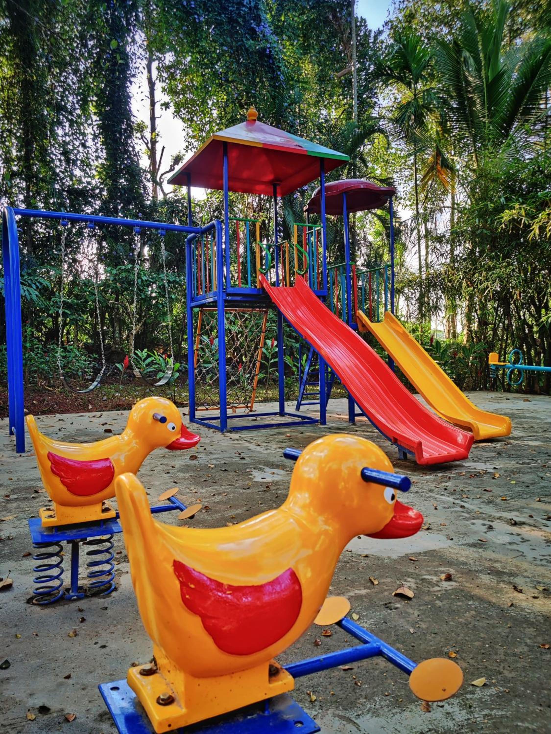 activities & amenities