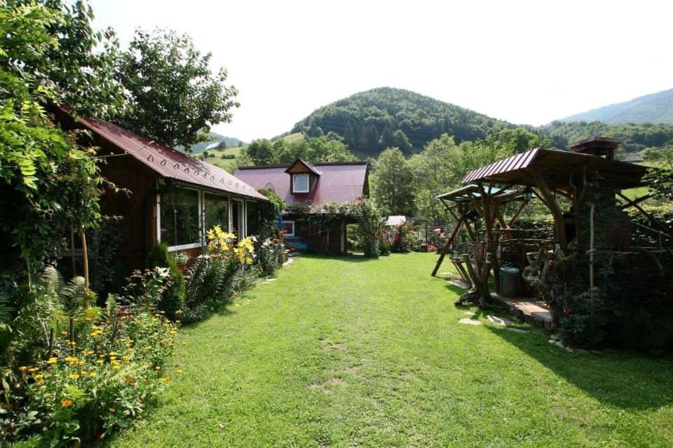 Casa de vacanta Vidrighin view 4