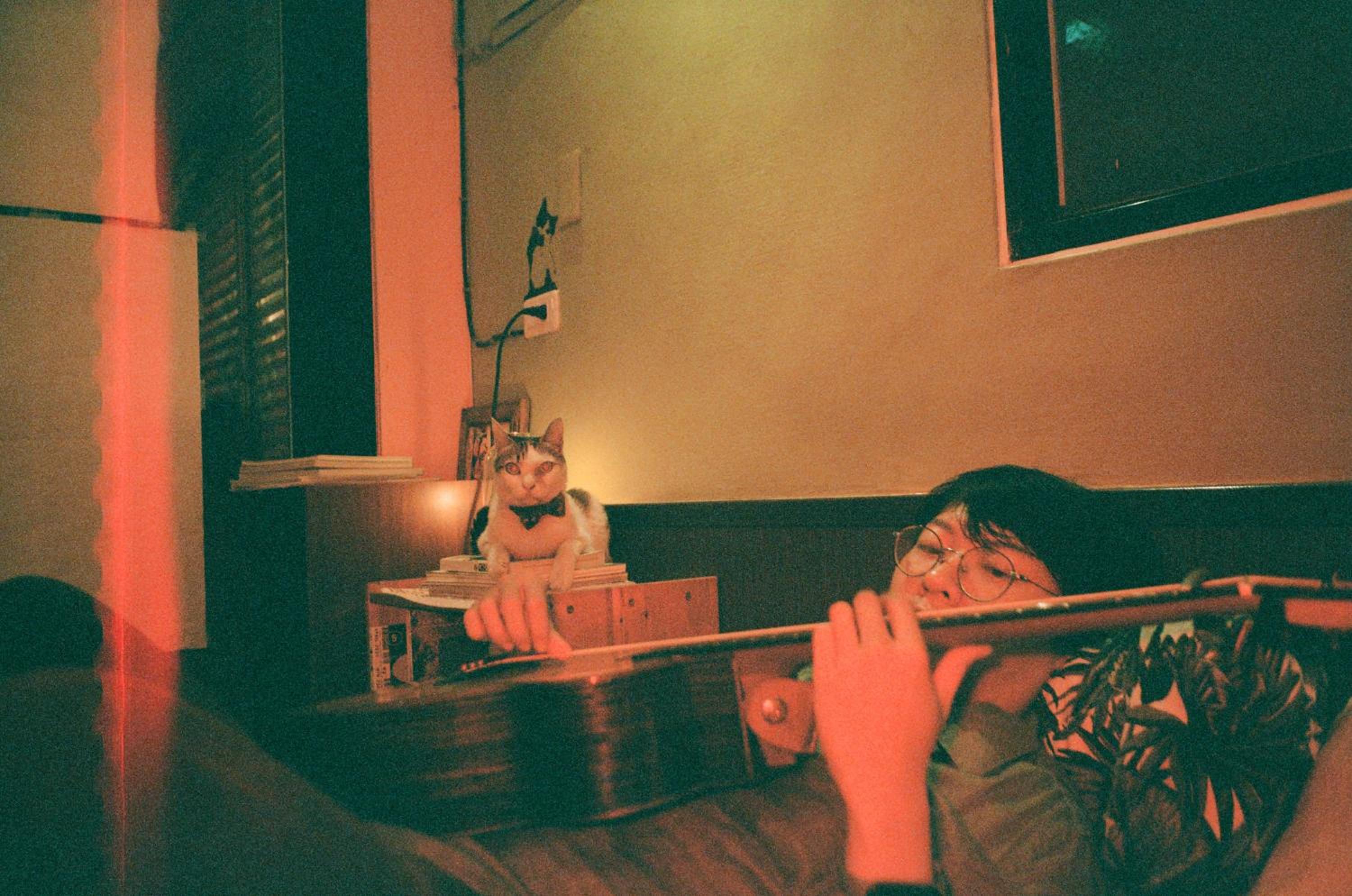 Lazy House