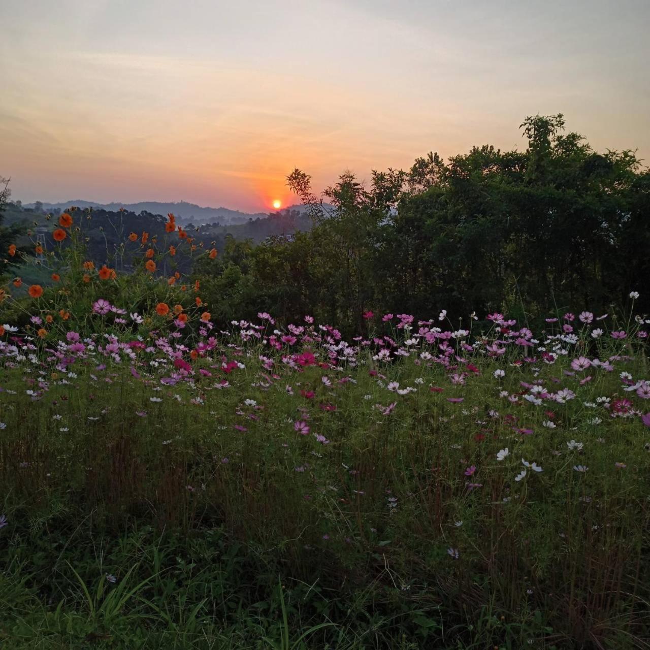 Photo 82
