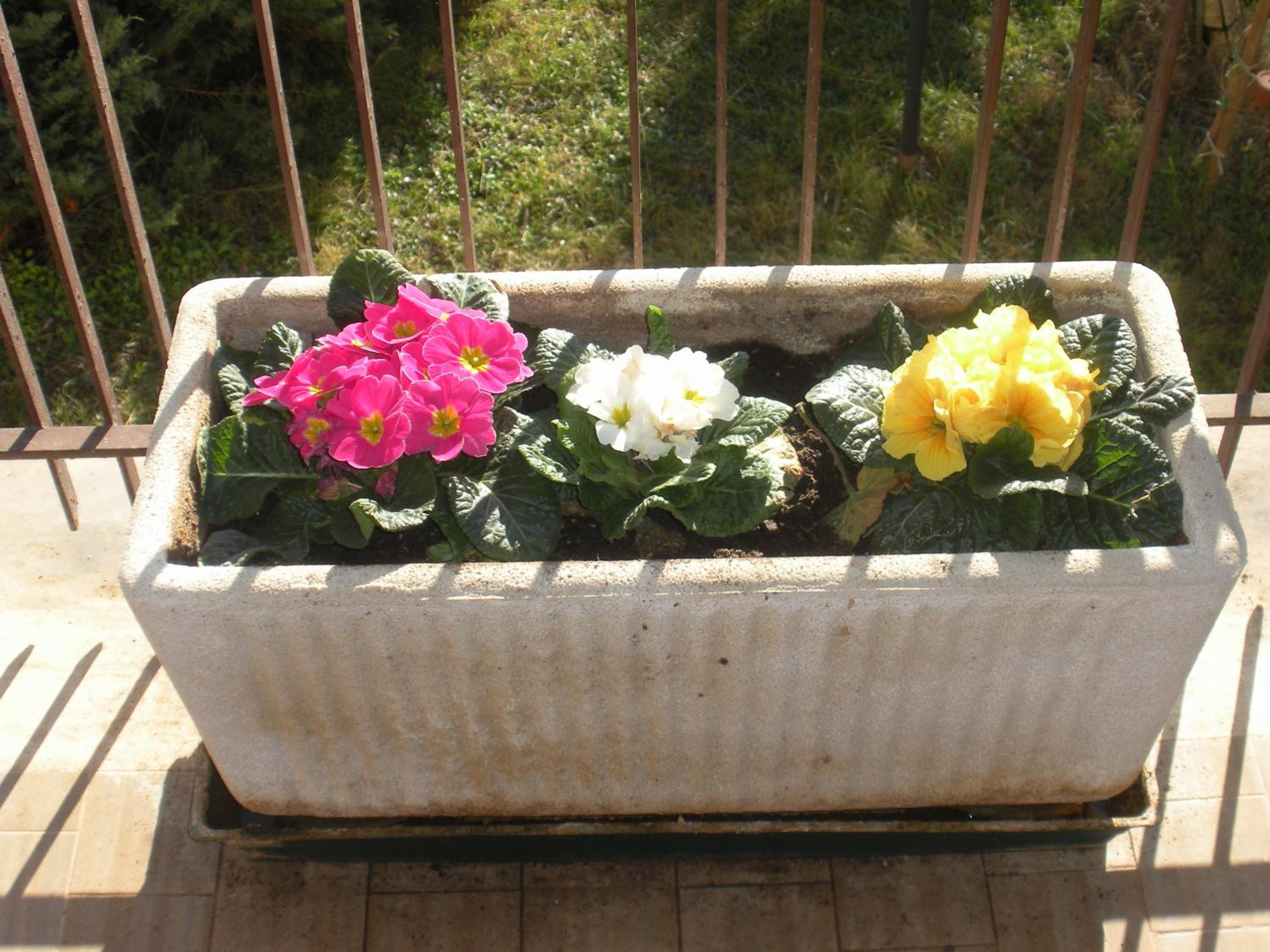 Agriturismo Le Rose
