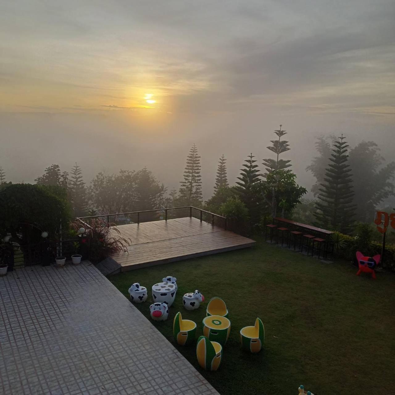 balance & terrace