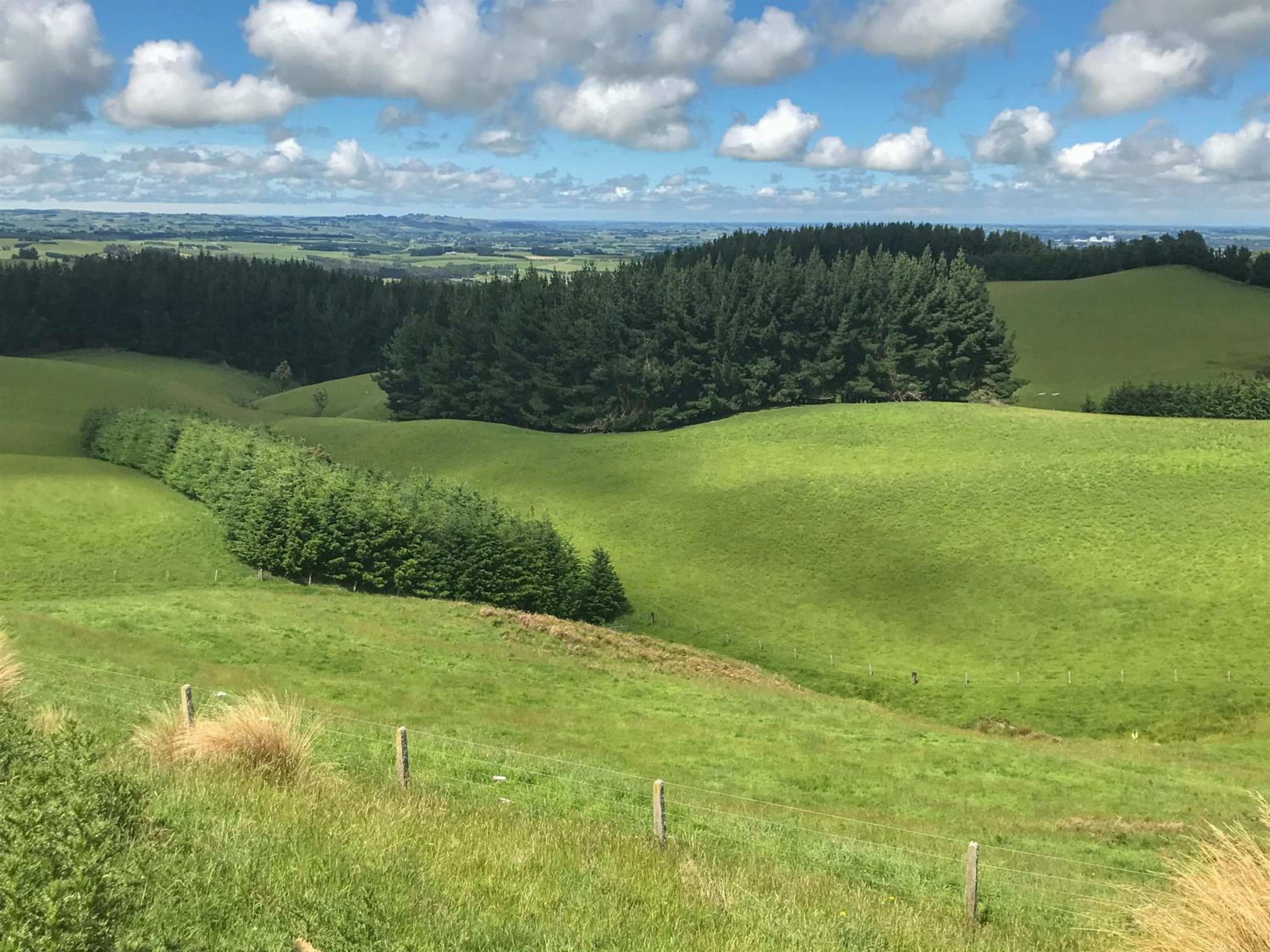 Southland Organic Farmstay view 5