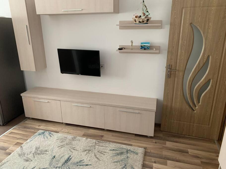 Lovely Bacau 1 bedroom apartment