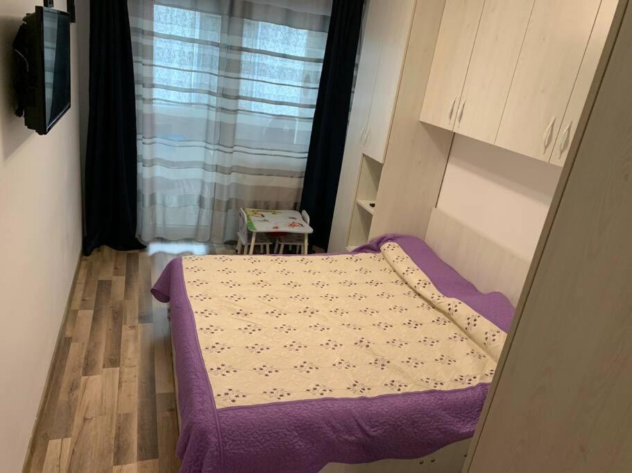 Lovely Bacau 1 bedroom apartment