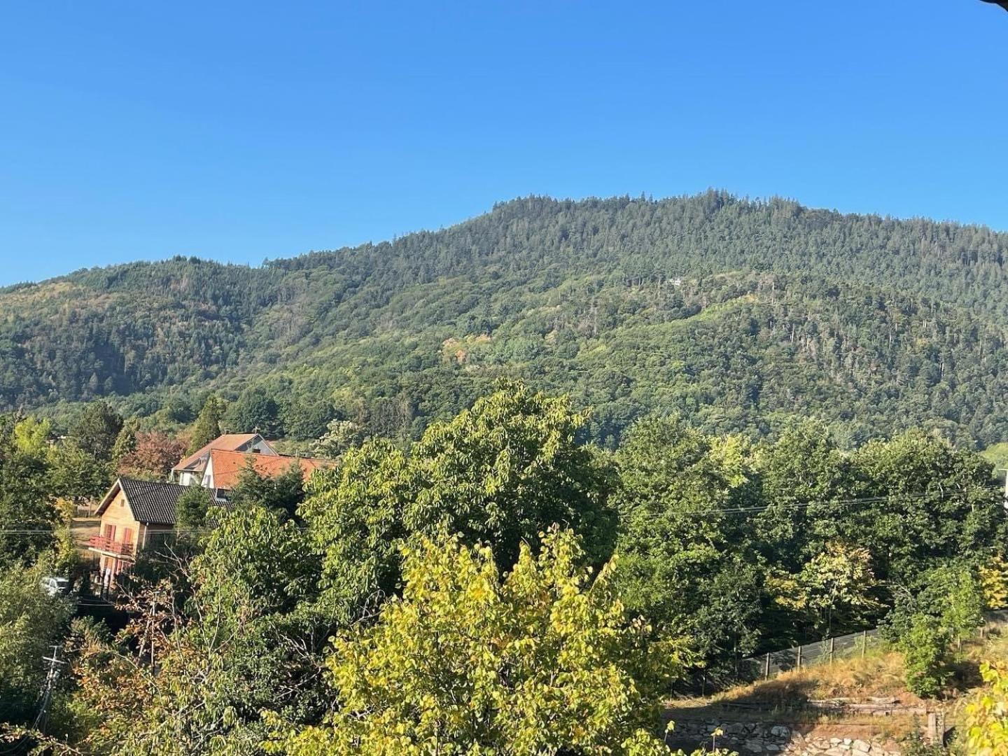 Le Manoir des Sens - Forêt de Bergheim
